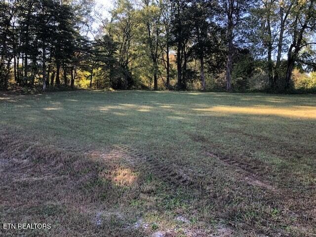 backyard - 198 Crabtree Hollow Rd, Ten Mile, TN 37880