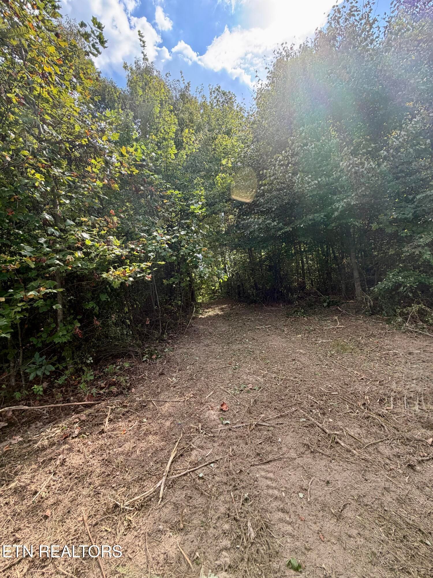 IMG_7410 - 1475 Campground Rd, Clarkrange, TN 38553, Clarkrange