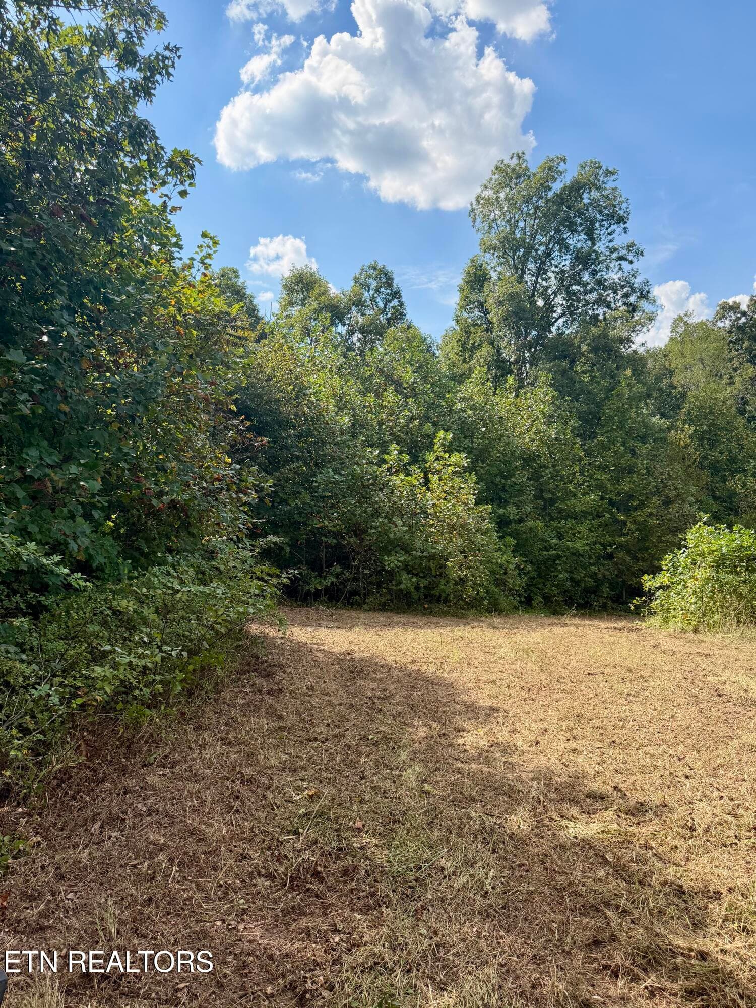 IMG_7409 - 1475 Campground Rd, Clarkrange, TN 38553, Clarkrange