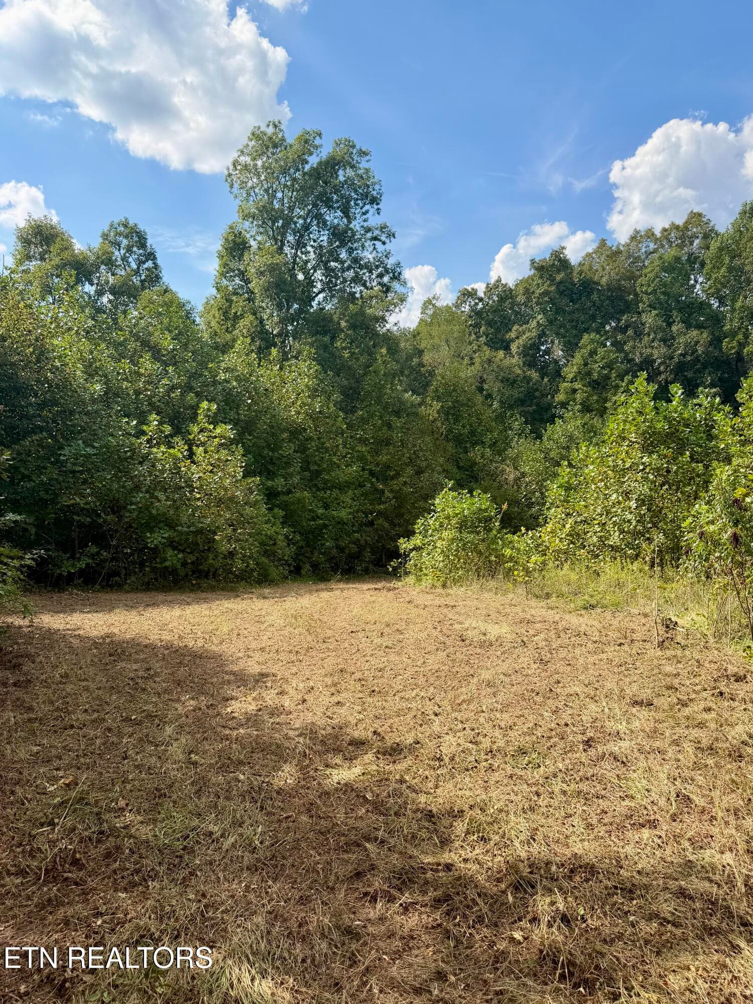 IMG_7408 - 1475 Campground Rd, Clarkrange, TN 38553, Clarkrange