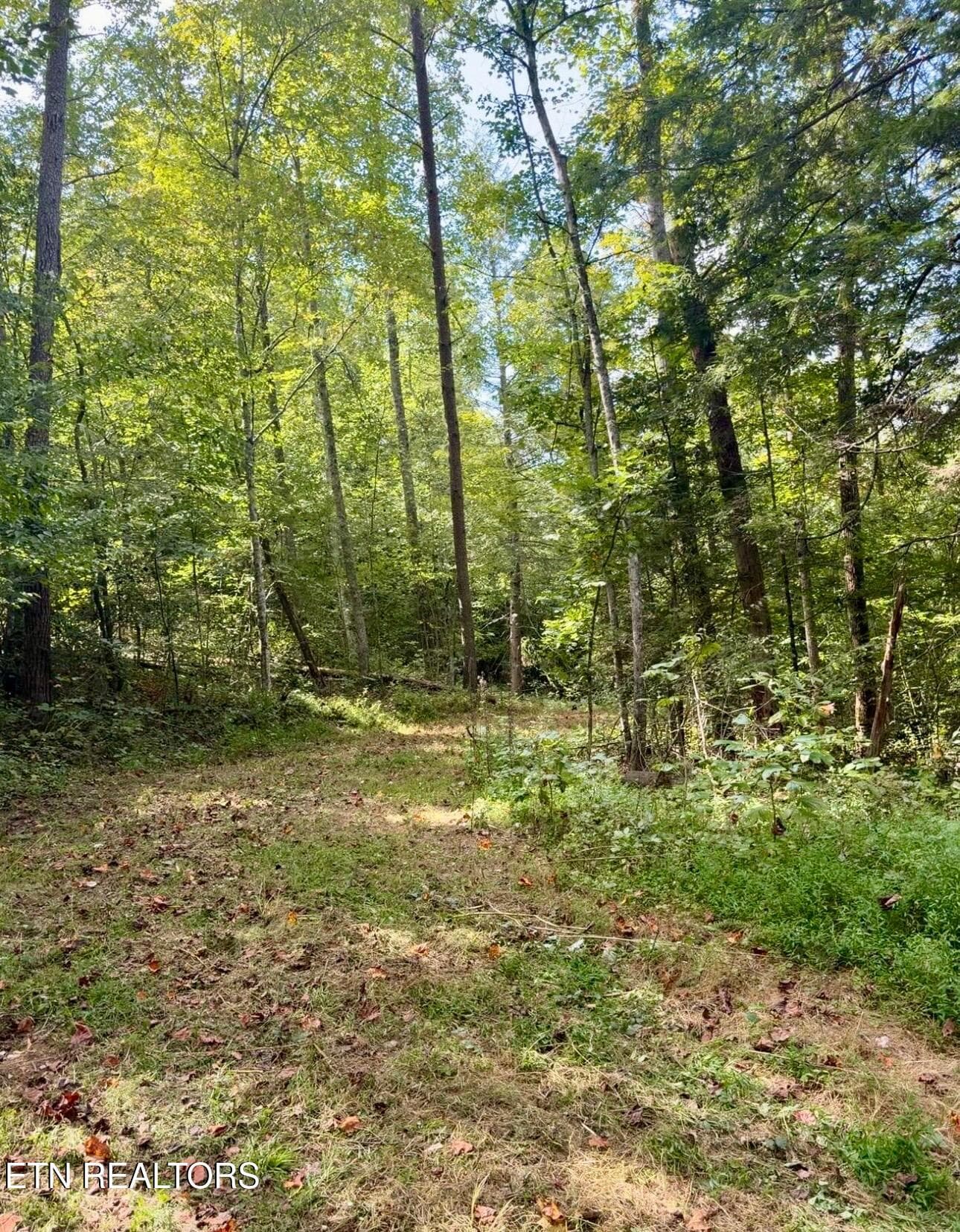 IMG_0054 - 1475 Campground Rd, Clarkrange, TN 38553, Clarkrange