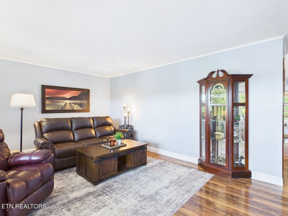 009-009 - 864 Scenic Lakeview Drive, Spring City, TN 37381, Spring City