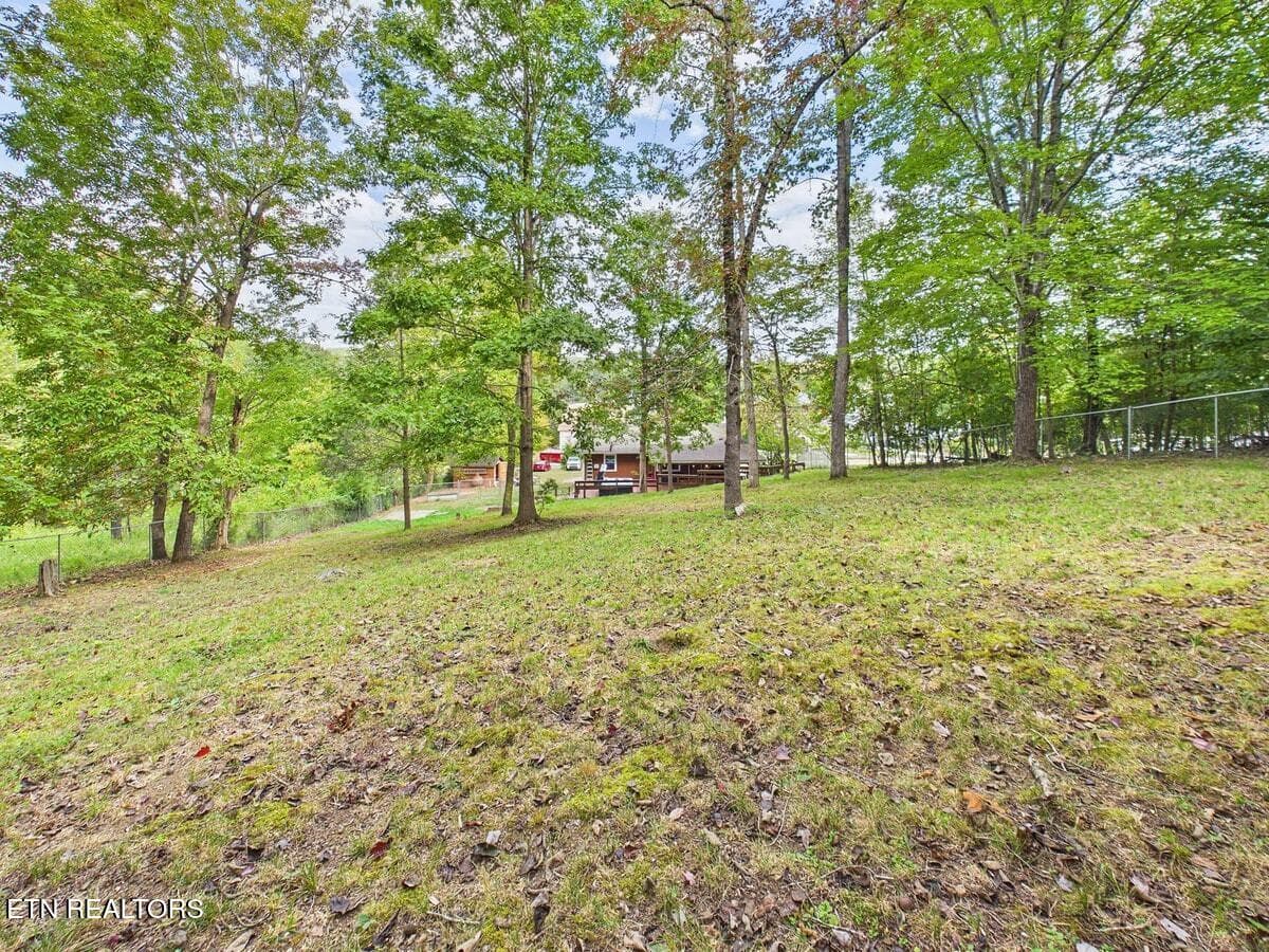 035-035 - 864 Scenic Lakeview Drive, Spring City, TN 37381, Spring City
