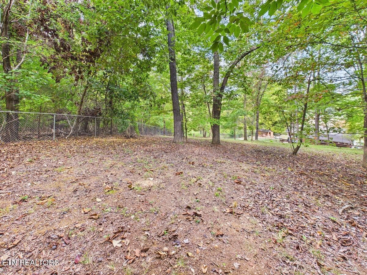 036-036 - 864 Scenic Lakeview Drive, Spring City, TN 37381, Spring City