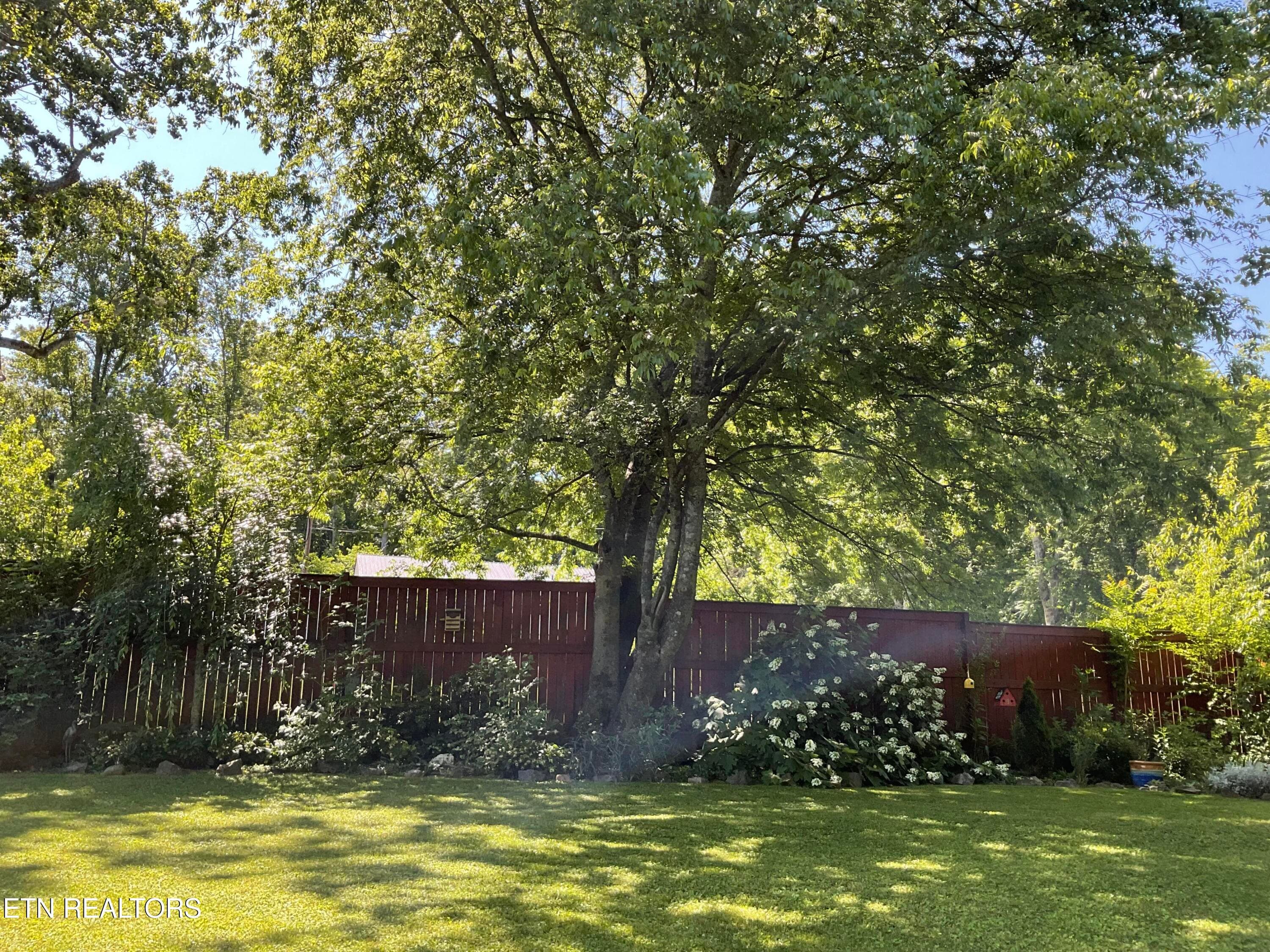 37_beyc6abf281e5f5fa - 6520 S Northshore Drive, Knoxville, TN 37919, Knoxville