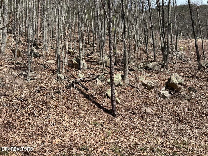 cv7 - Clingmans View Lot 18, Sevierville, TN 37876, Sevierville