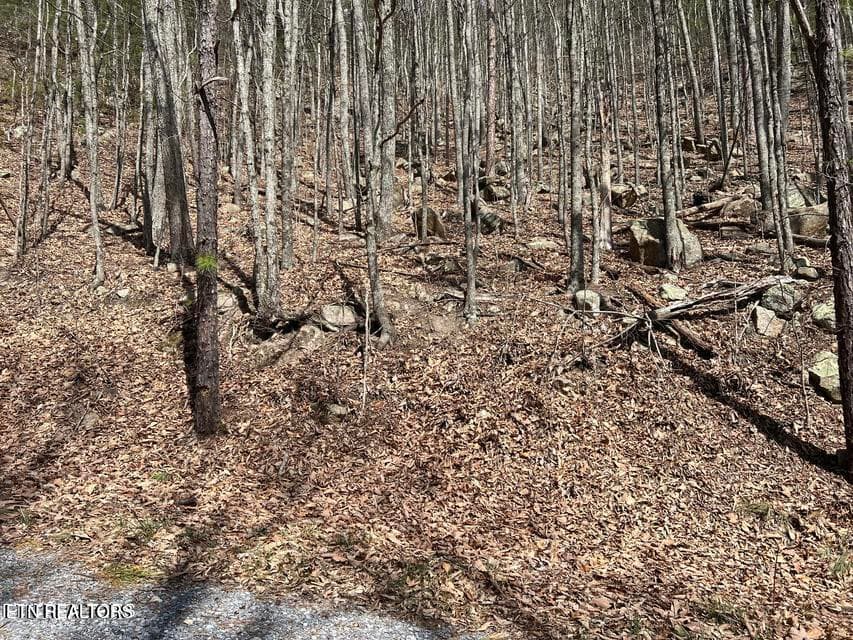 cv6 - Clingmans View Lot 18, Sevierville, TN 37876, Sevierville