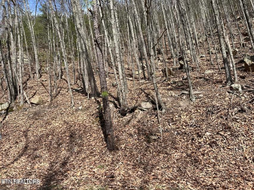 cv5 - Clingmans View Lot 18, Sevierville, TN 37876, Sevierville