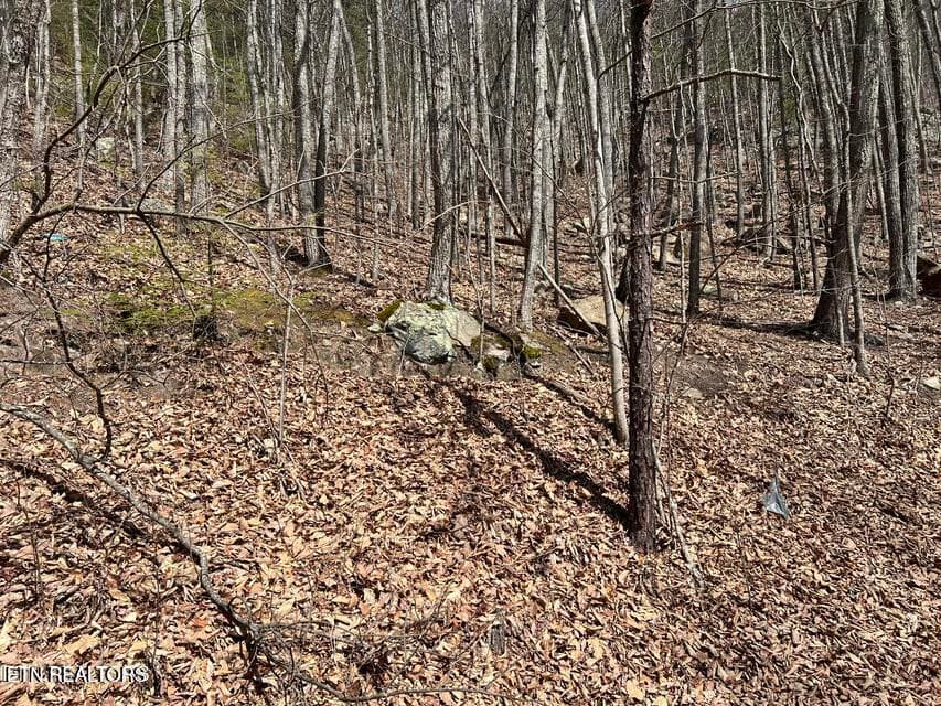cv4 - Clingmans View Lot 18, Sevierville, TN 37876, Sevierville