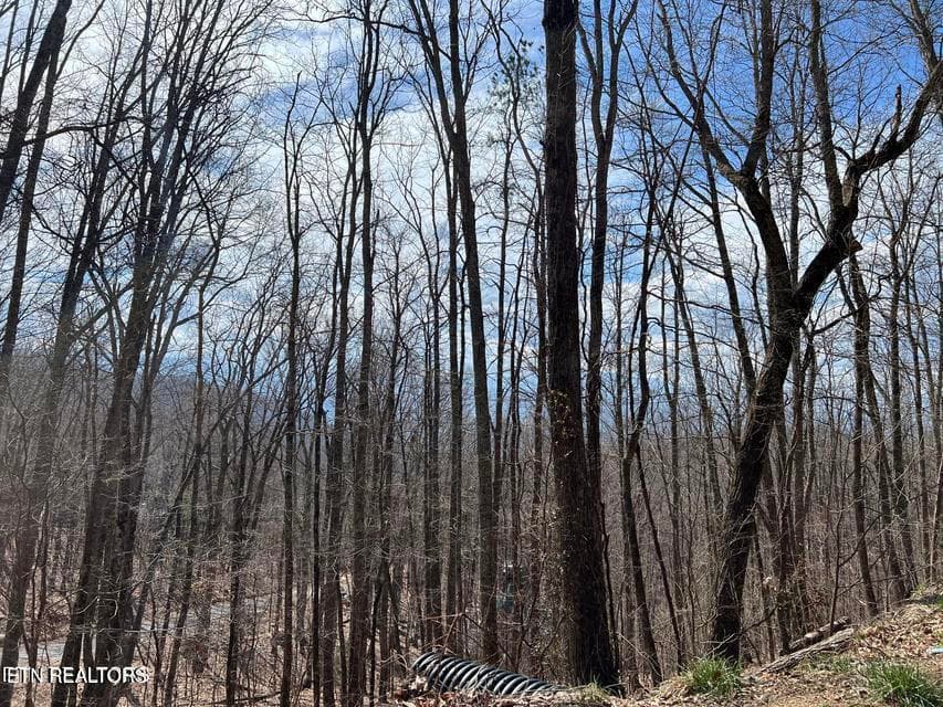 cv3 - Clingmans View Lot 18, Sevierville, TN 37876, Sevierville