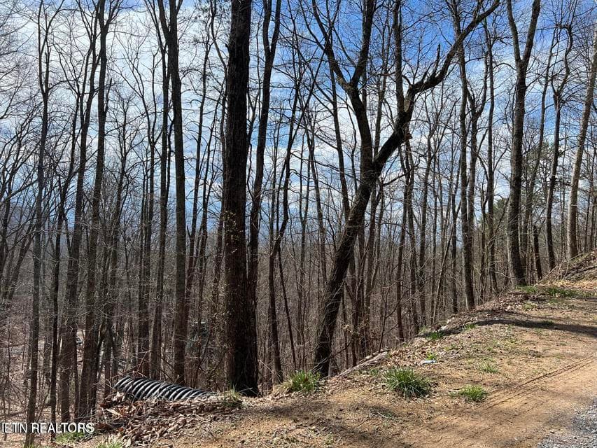 cv2 - Clingmans View Lot 18, Sevierville, TN 37876, Sevierville