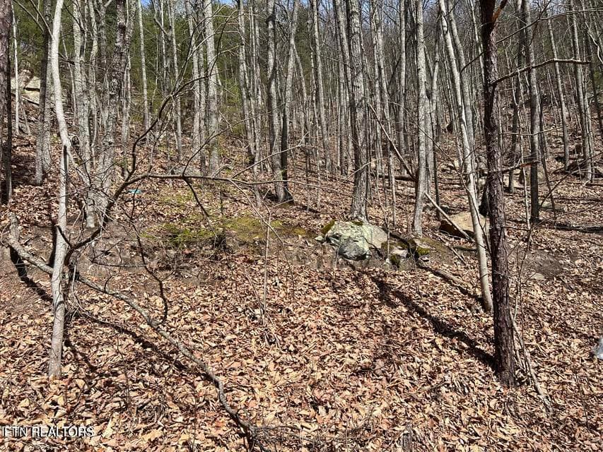 Clingmans View Lot 18, Sevierville, TN 37876