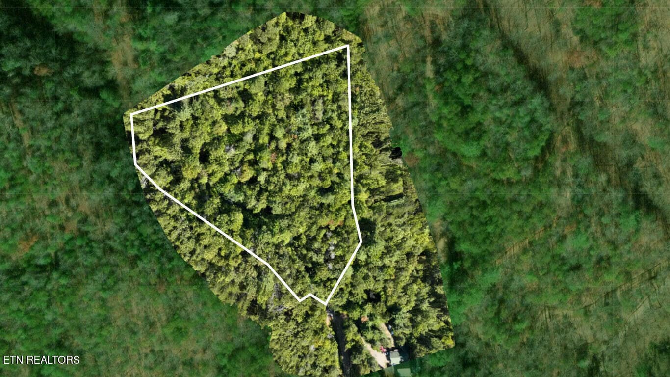 FlexMLS_Resized_Satellite - 3738 Oliver Way, Sevierville, TN 37876, Sevierville
