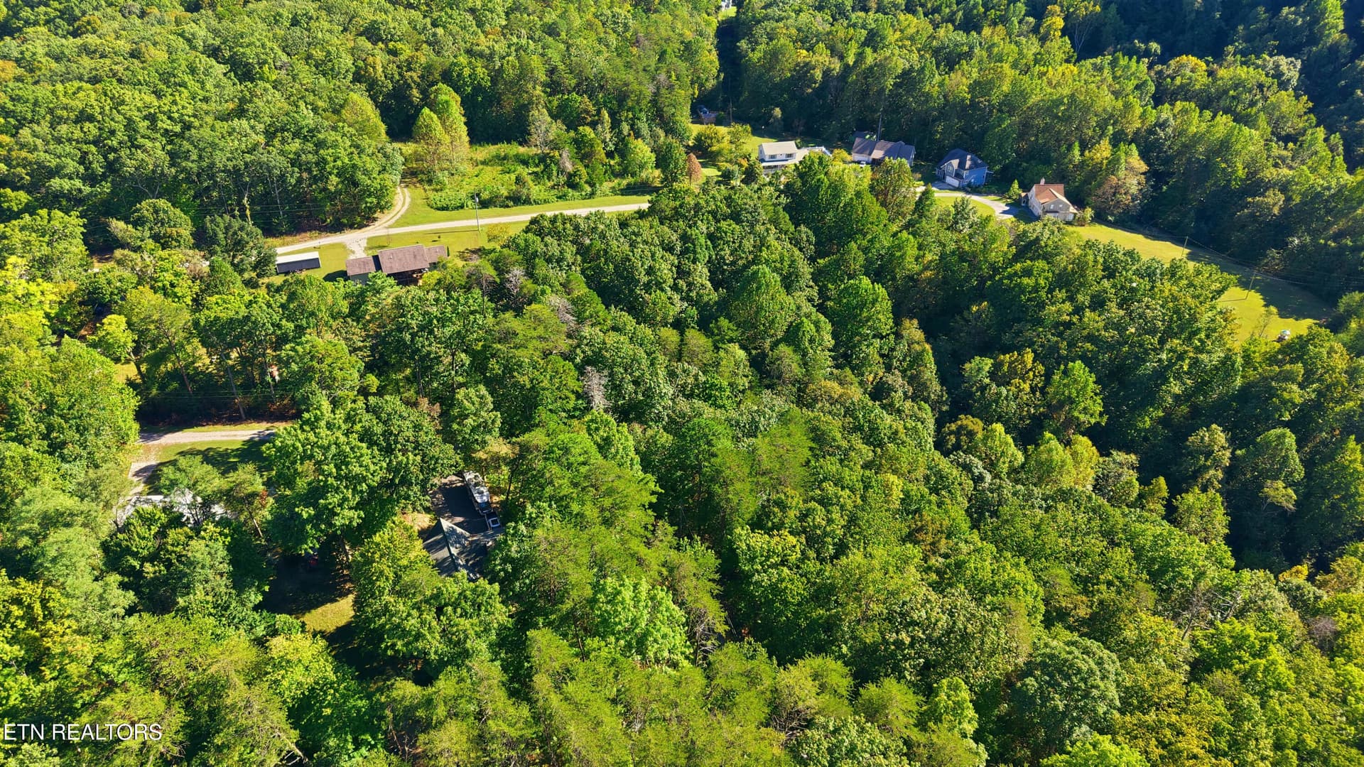 Roy Lee Way-1 - 19 Roy Lee Way, Seymour, TN 37865