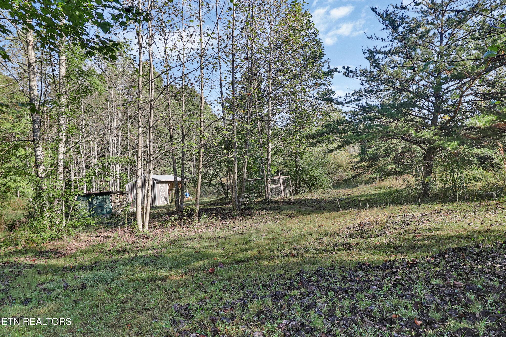 n44a2168-n44a2172 - 420 Oneida Lane, Crawford, TN 38554, Crawford