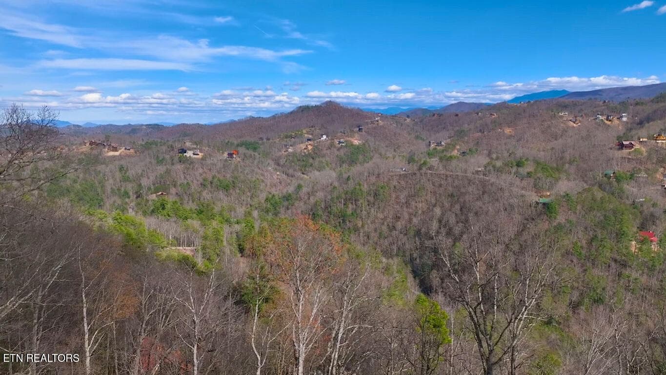 Screenshot 2026-07-10 130647 copy - Lot 40 Black Walnut Flats Rd, Sevierville, TN 37862, Sevierville