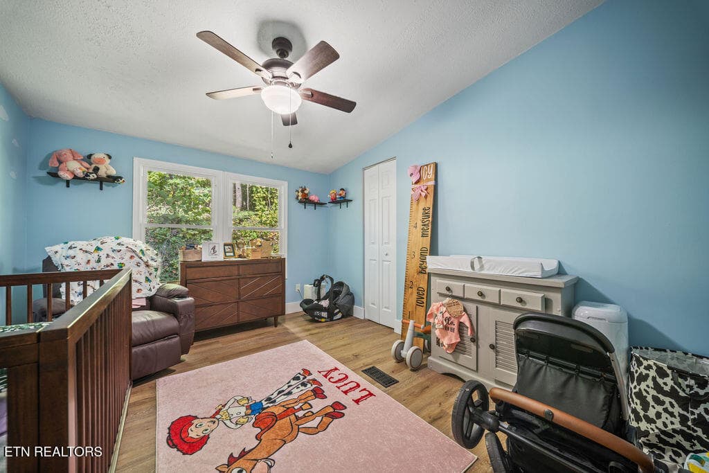 bedroom 2 - 257 Old Andersonville Pike, Heiskell, TN 37754, Heiskell