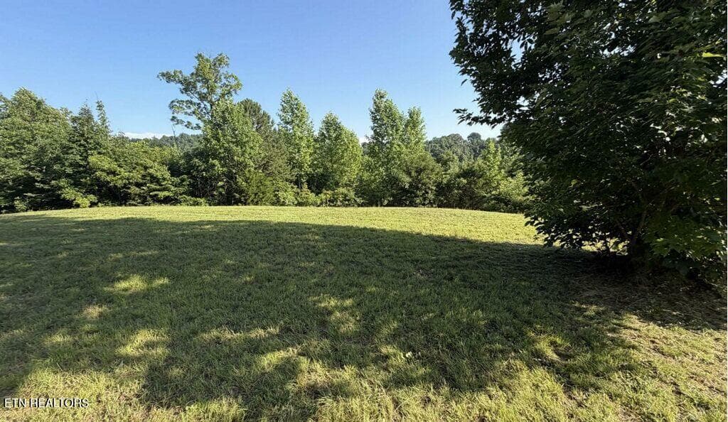 imagejpeg_3 - 420 Walker Rd, Sharps Chapel, TN 37866, Sharps Chapel