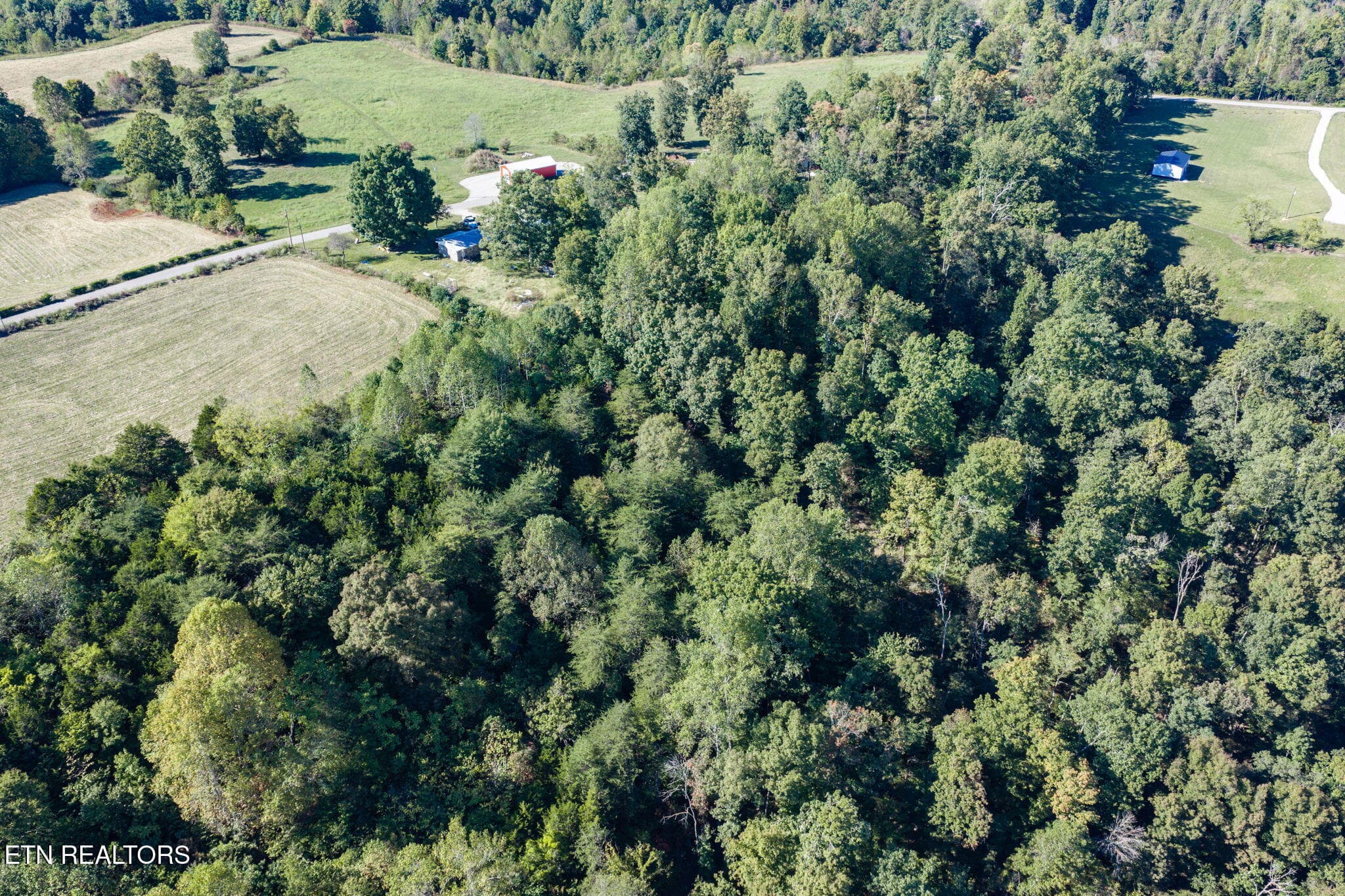 10-web-or-mls-Hensley Chapel Lot 3_028_T - 0 Hensley Chapel Lot 3 Rd, Sparta, TN 38583, Sparta