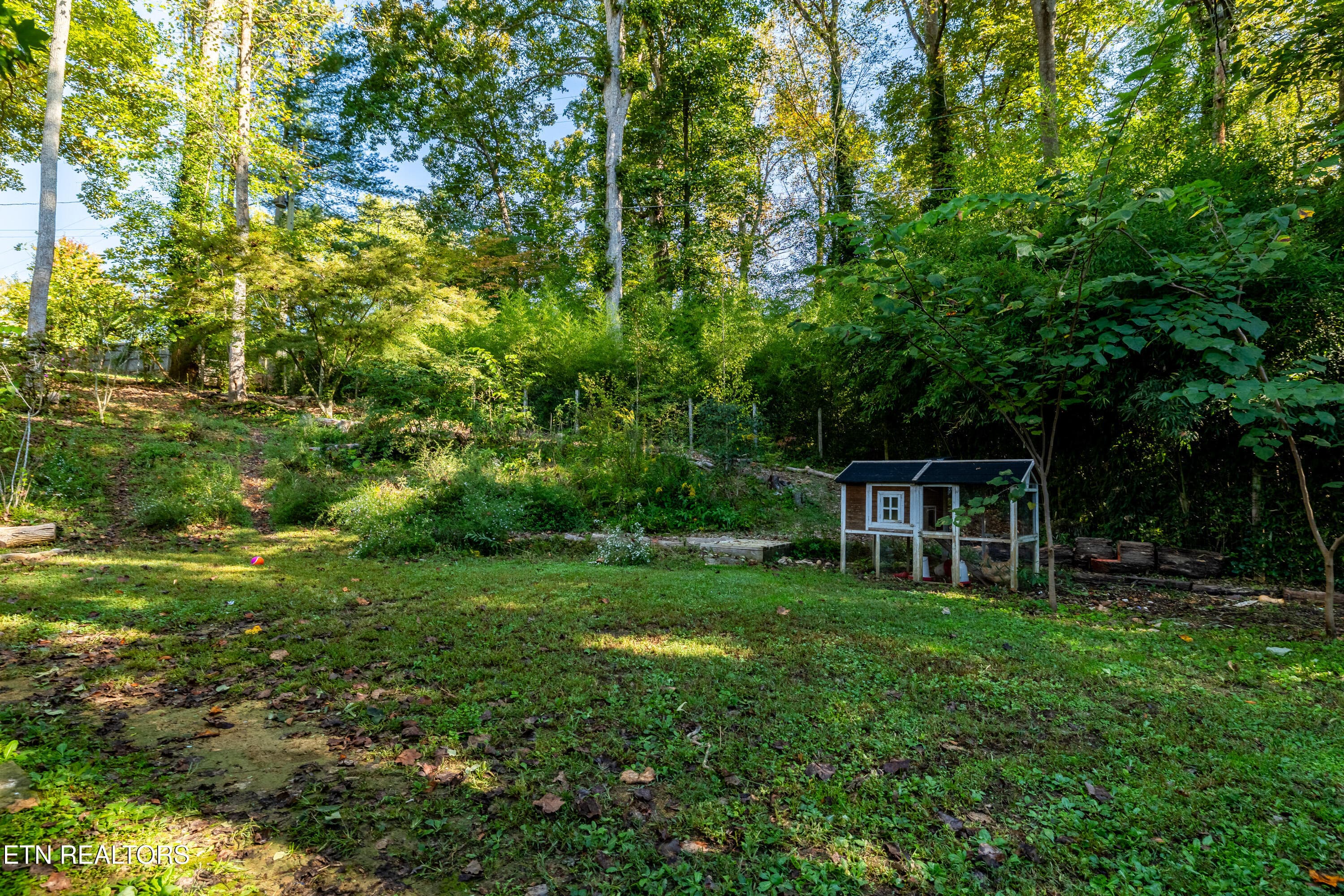 202MapleLoopRd-41 - 202 Maple Loop Rd, Knoxville, TN 37920, Knoxville