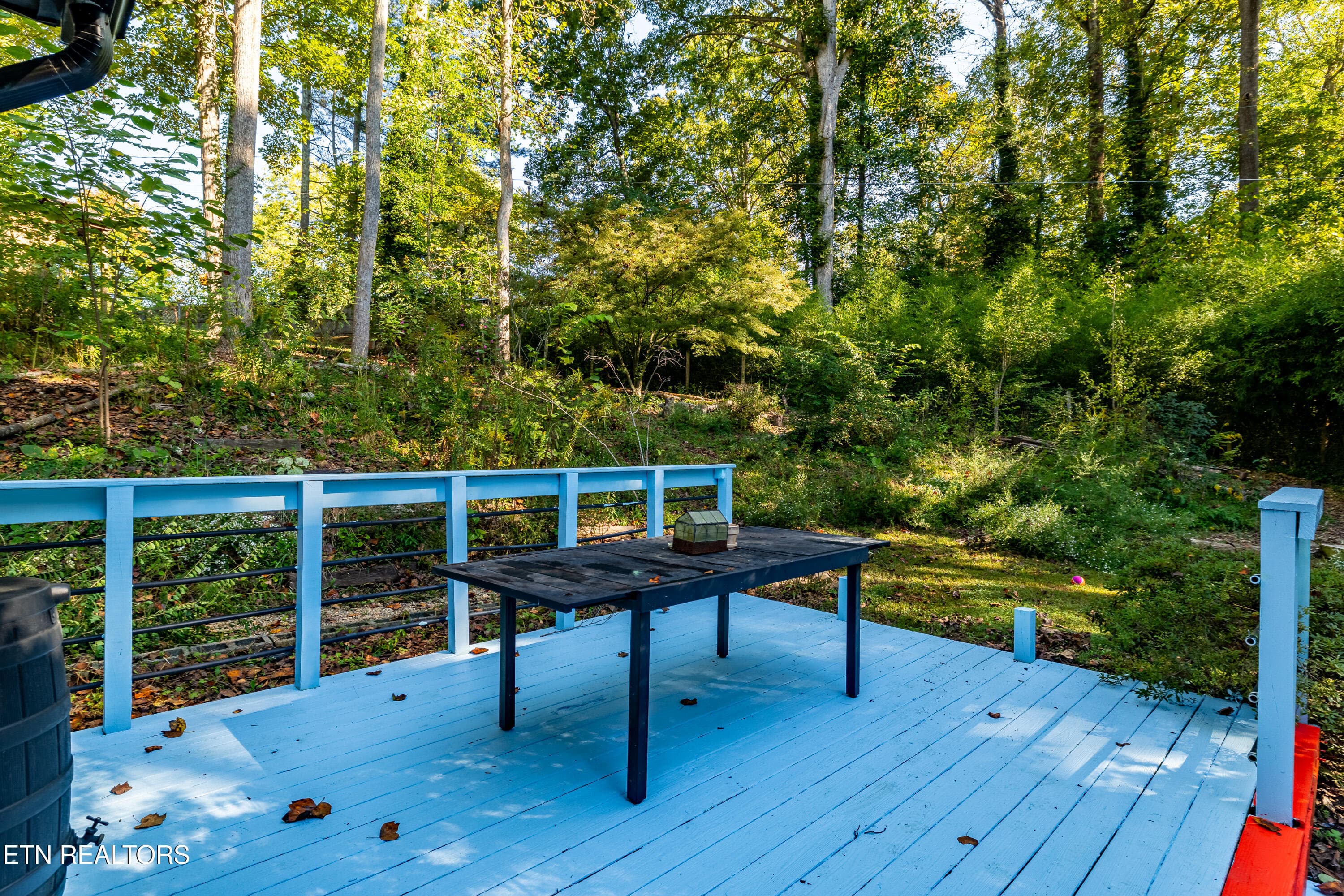 202MapleLoopRd-44 - 202 Maple Loop Rd, Knoxville, TN 37920, Knoxville