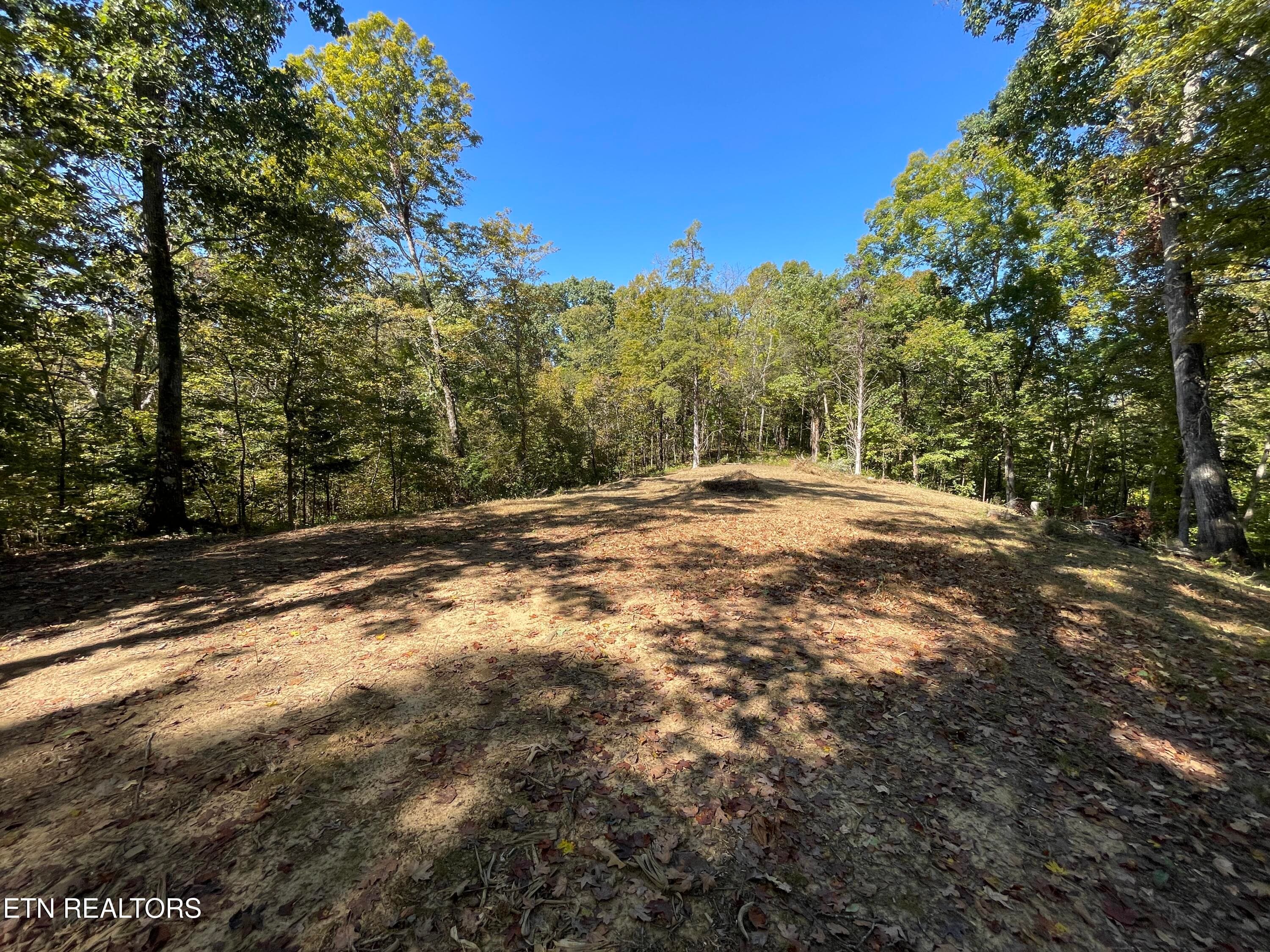 Partially Cleared Area on Wooded Acreage - 136 Denton Rd, Madisonville, TN 37354, Madisonville