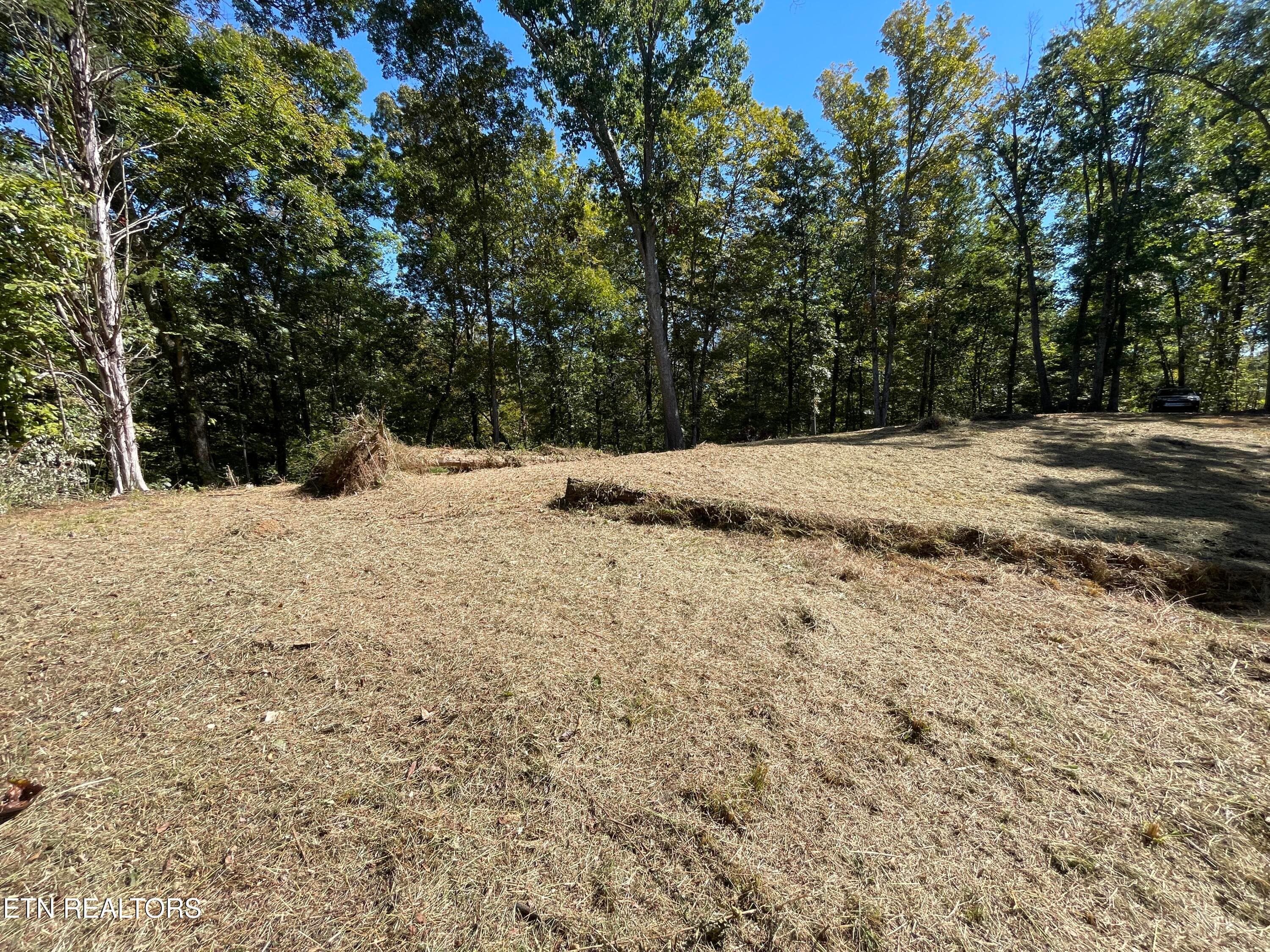 Open Space Surrounded by Mature Trees - 136 Denton Rd, Madisonville, TN 37354, Madisonville