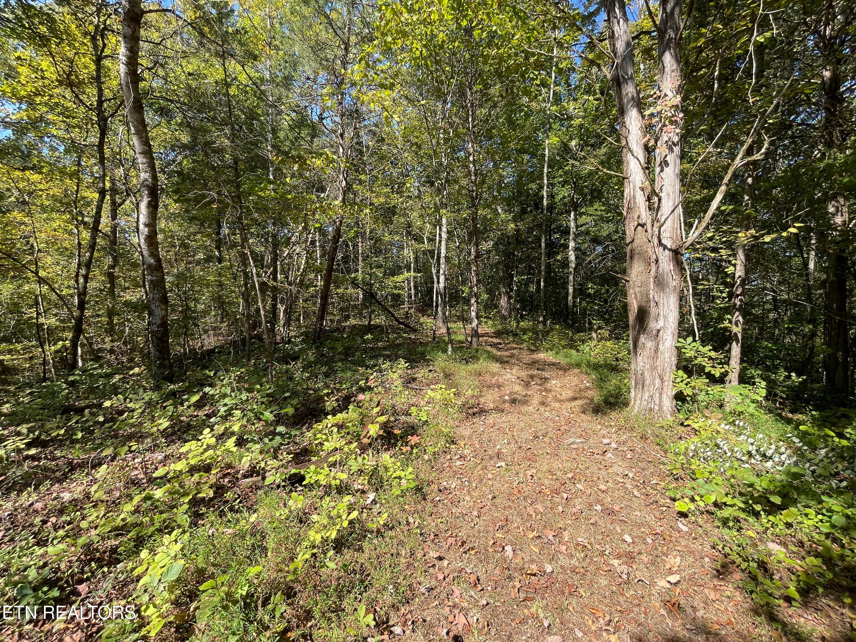 Trails on 21.25 Acres in East Tennessee - 136 Denton Rd, Madisonville, TN 37354, Madisonville