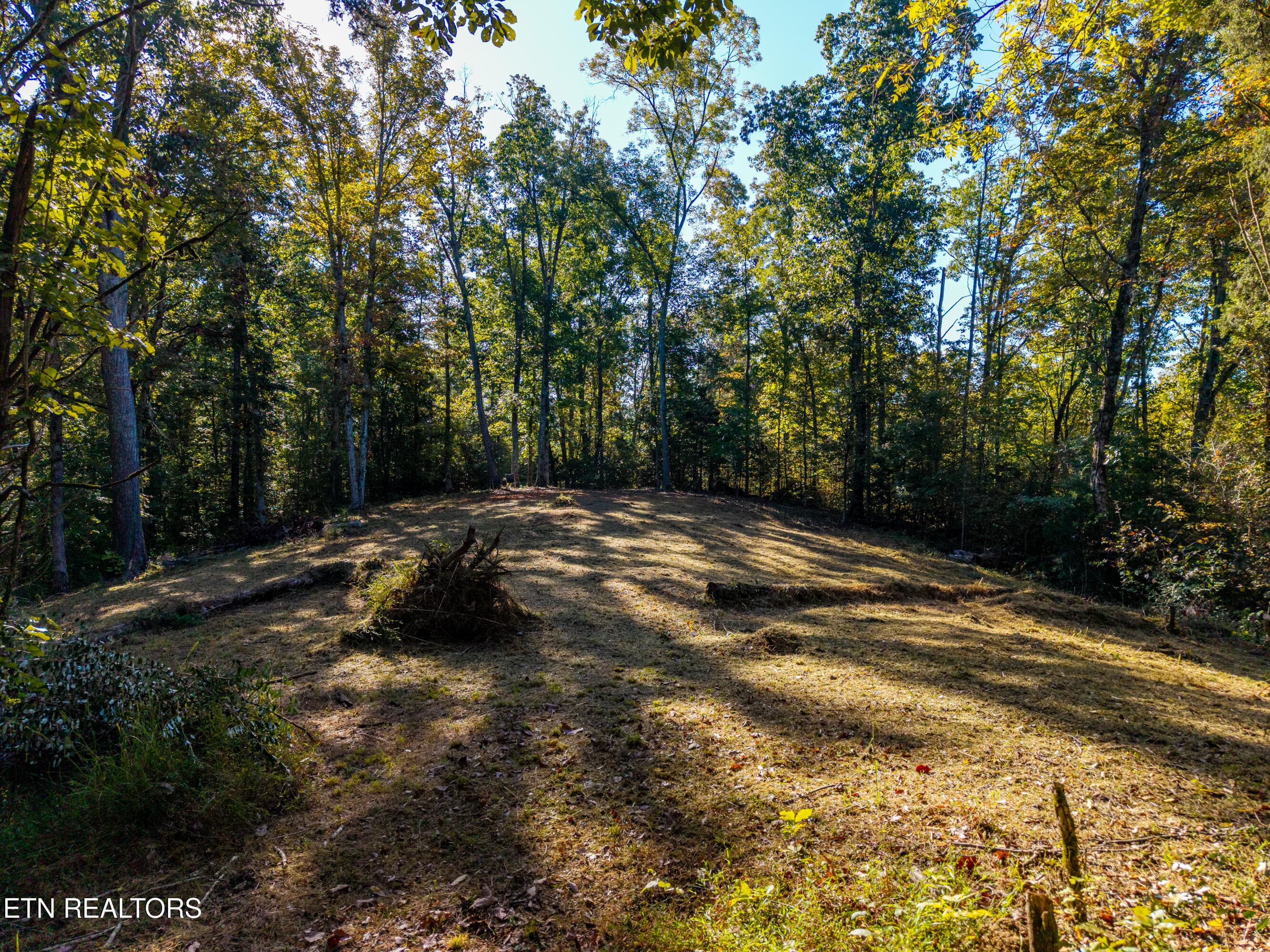 Clearing Framed by Wooded Landscape - 136 Denton Rd, Madisonville, TN 37354, Madisonville