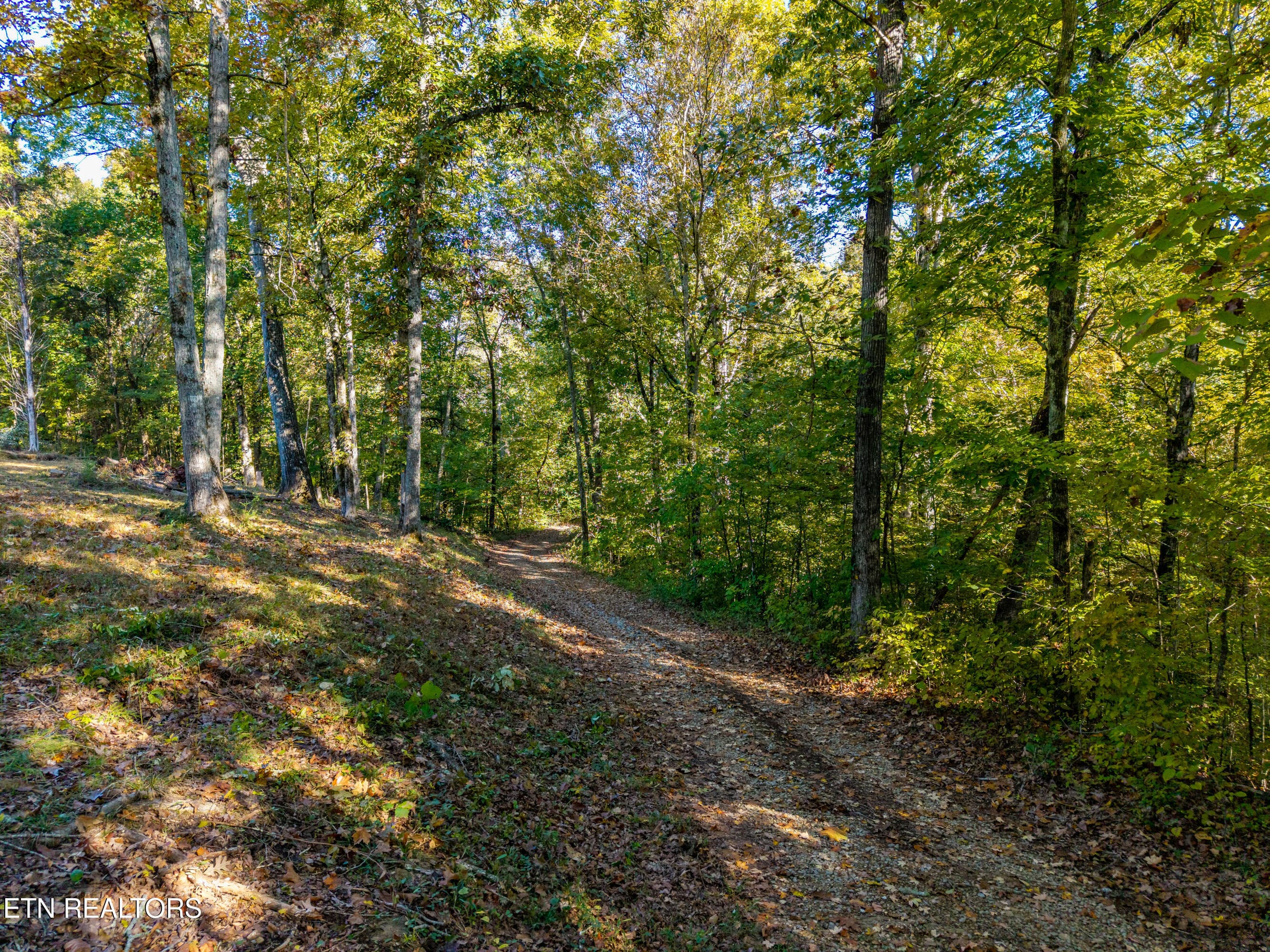 Wooded Section of Denton Road - 136 Denton Rd, Madisonville, TN 37354, Madisonville