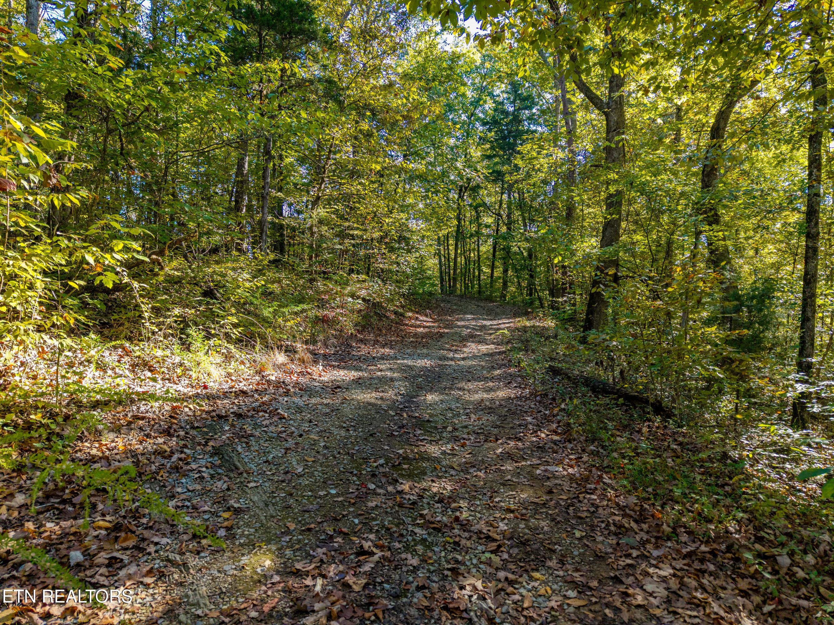 Gravel Roadway on Denton Road - 136 Denton Rd, Madisonville, TN 37354, Madisonville
