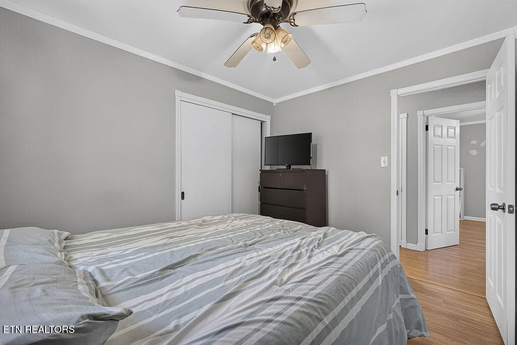 LB1A2481 - 420 Hialeah Drive, Knoxville, TN 37920, Knoxville