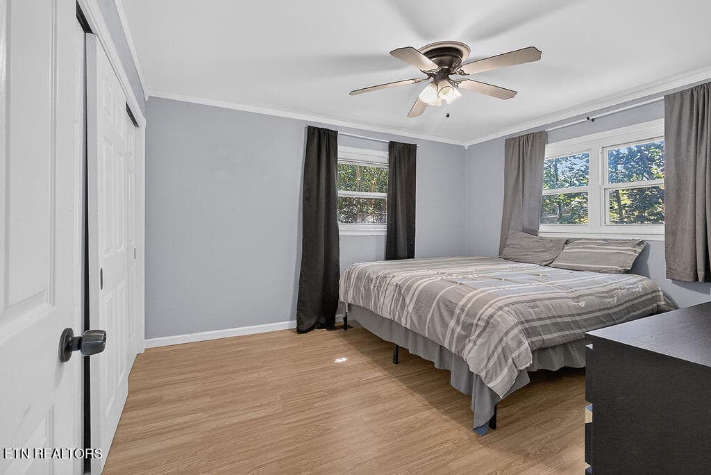 LB1A2483 - 420 Hialeah Drive, Knoxville, TN 37920, Knoxville
