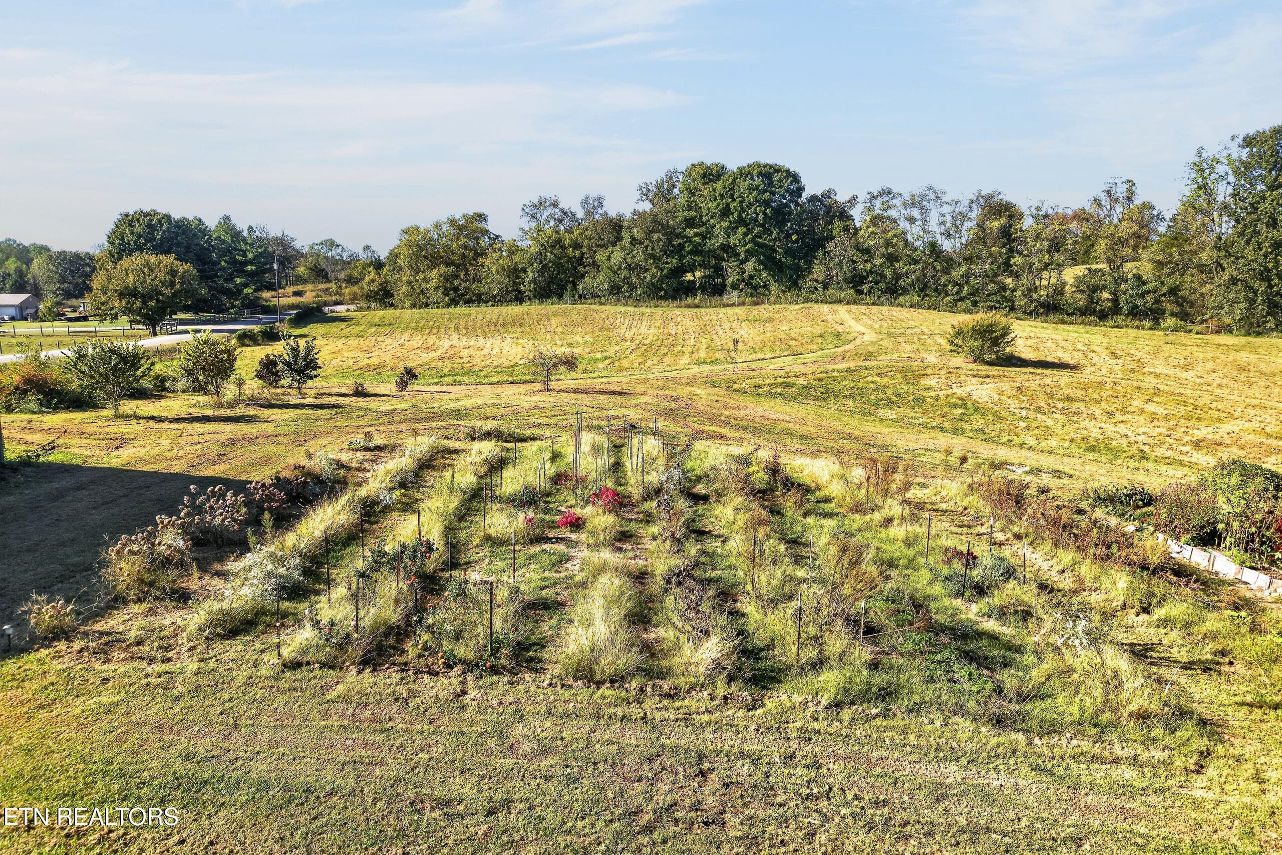 DJI_20261007042820_0045_D - 864 Coles Chapel Rd, Sparta, TN 38583, Sparta