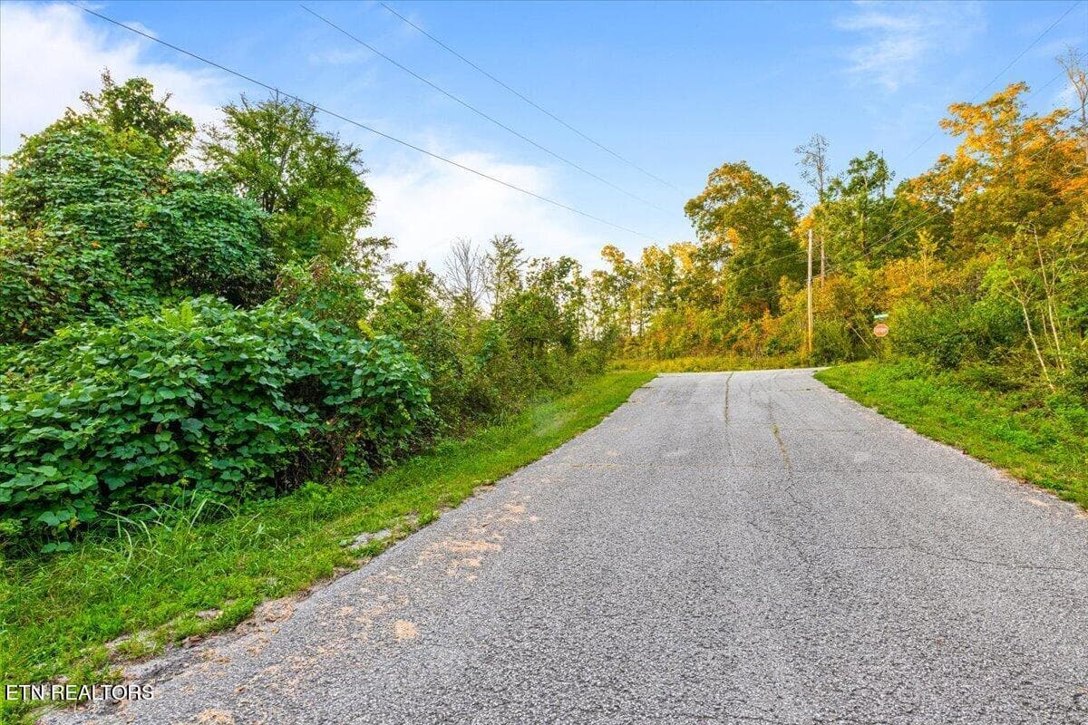 06-Bridle Way - lot 153 Bridle Way, Speedwell, TN 37870, Speedwell