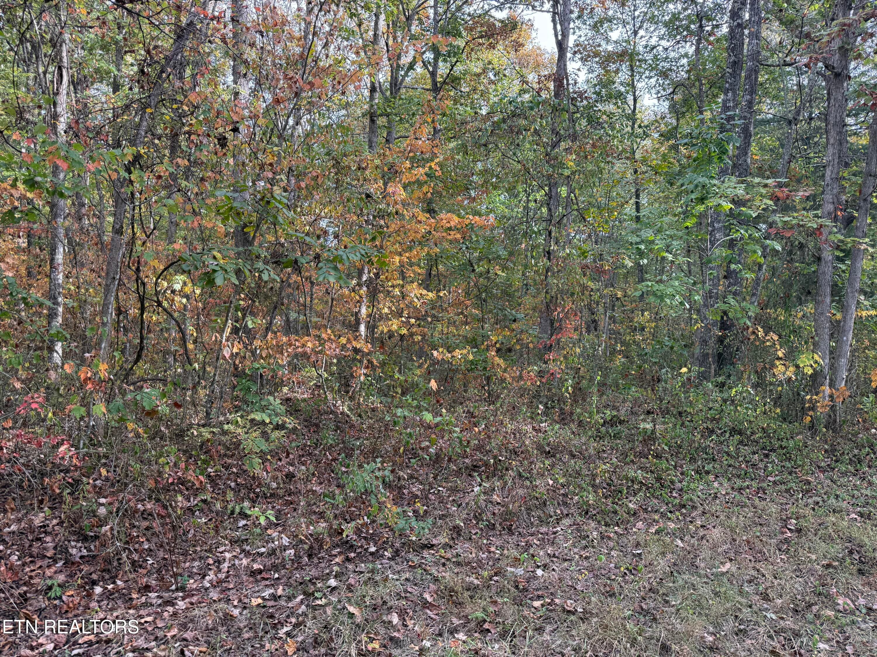 IMG_5861 - Copley Cemetery Rd, Jamestown, TN 38556, Jamestown