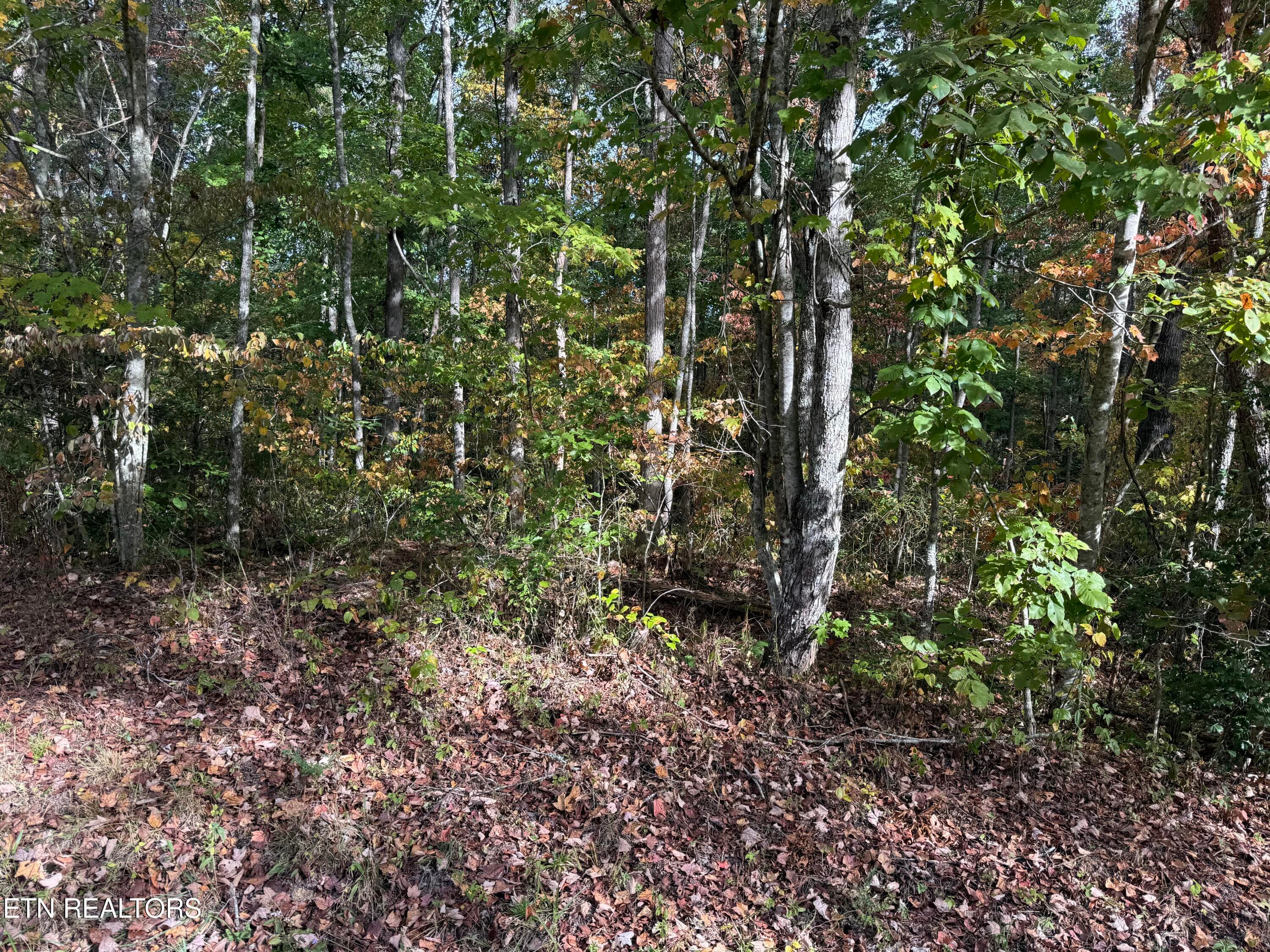 IMG_5864 - Copley Cemetery Rd, Jamestown, TN 38556, Jamestown