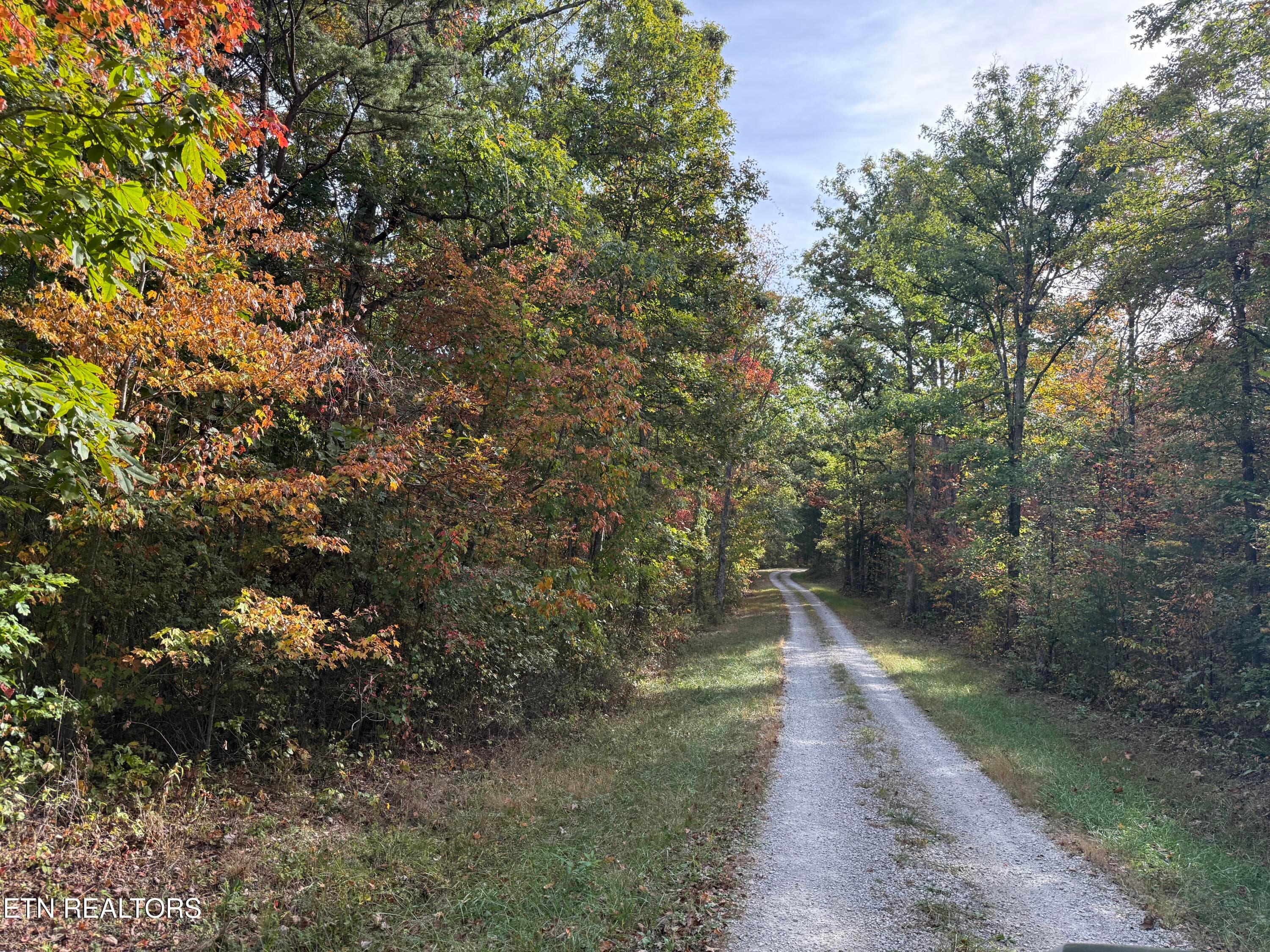IMG_5865 - Copley Cemetery Rd, Jamestown, TN 38556, Jamestown