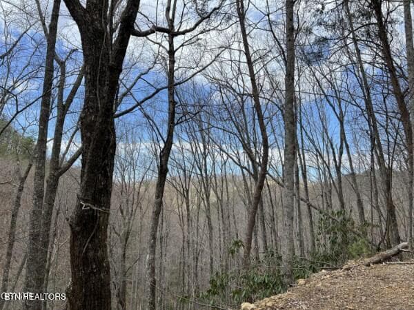 John Sevier Drive 10, Sevierville, TN 37876