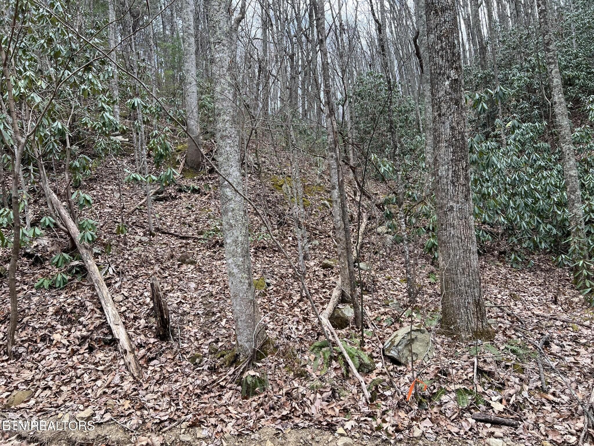 JS5 - John Sevier Drive 10, Sevierville, TN 37876, Sevierville