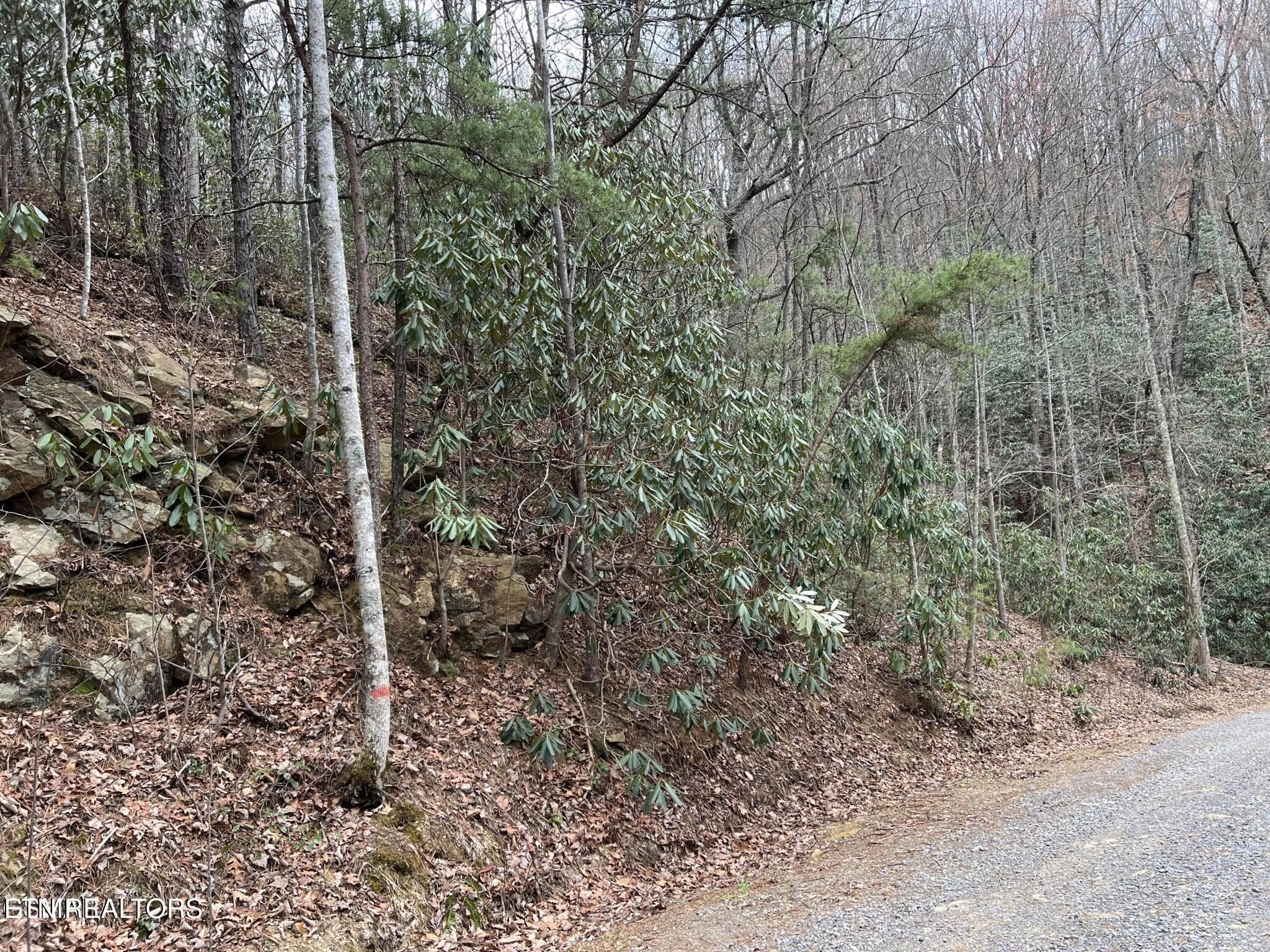 JS3 - John Sevier Drive 10, Sevierville, TN 37876, Sevierville