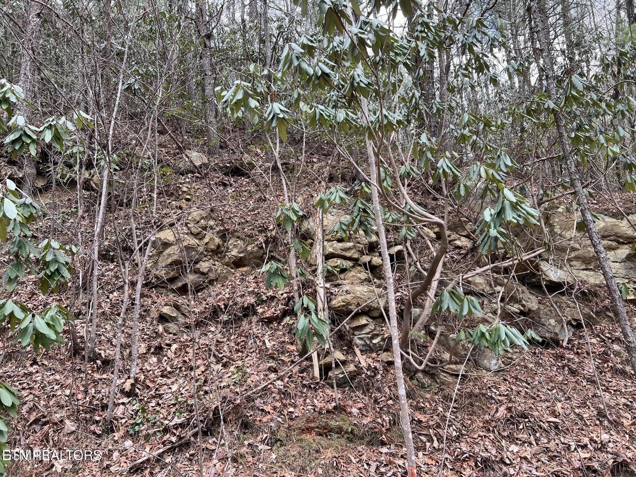 JS2 - John Sevier Drive 10, Sevierville, TN 37876, Sevierville