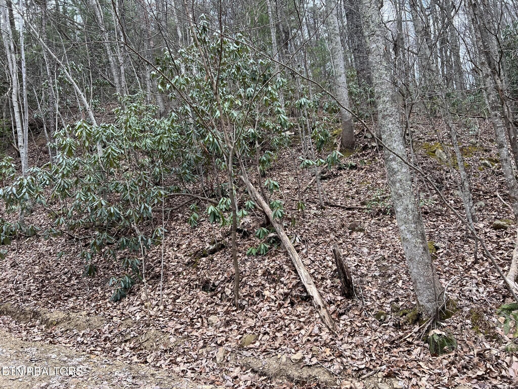 JS1 - John Sevier Drive 10, Sevierville, TN 37876, Sevierville
