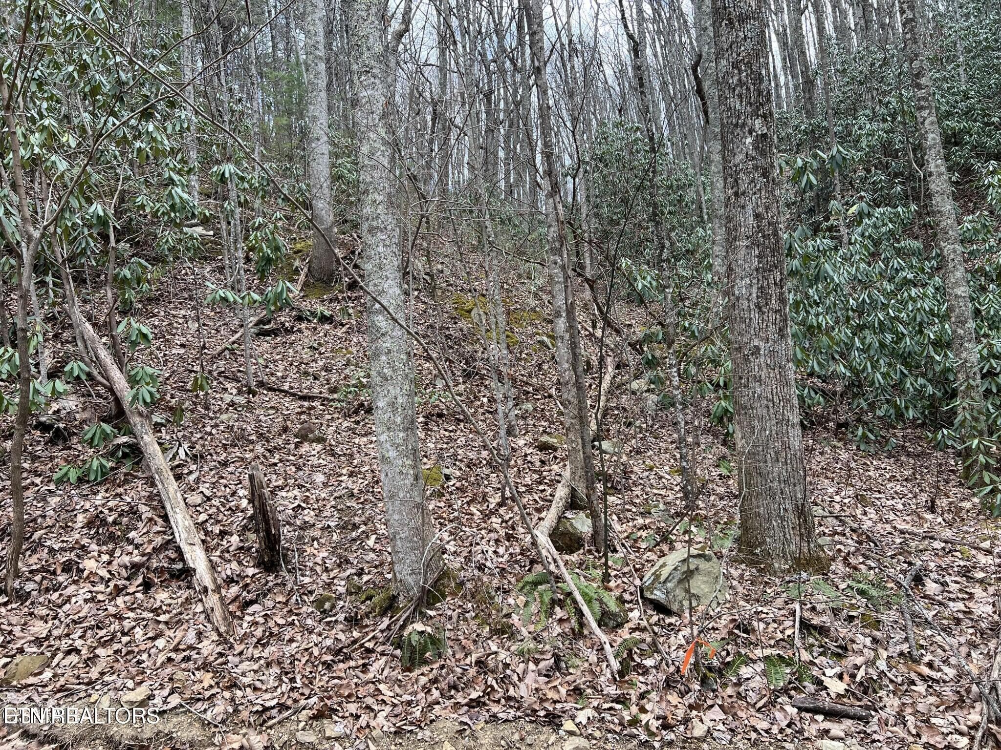 JS - John Sevier Drive 10, Sevierville, TN 37876, Sevierville