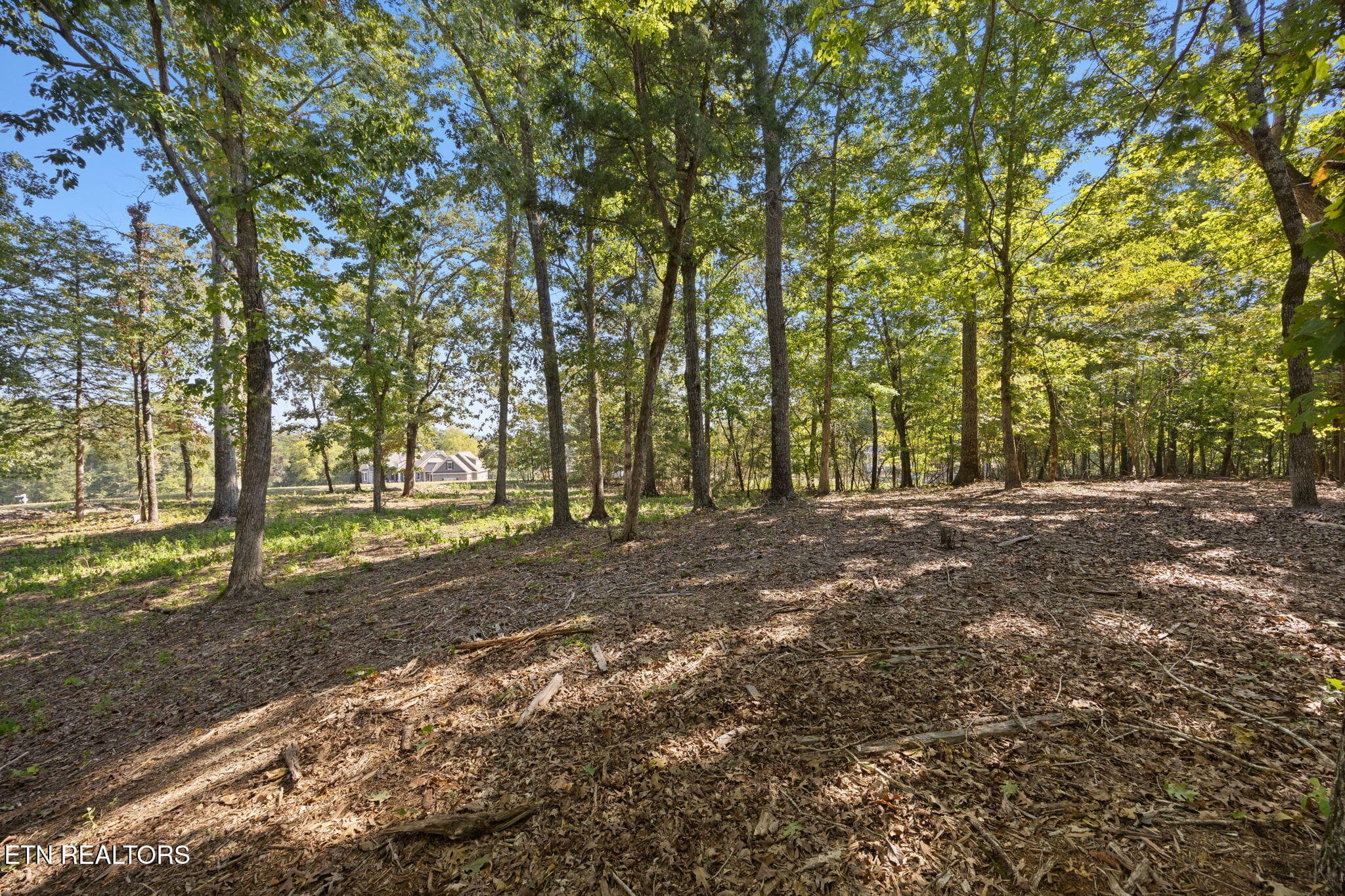 3-web-or-mls-003_110EShore - 110 E Shore Drive, Rockwood, TN 37854, Rockwood