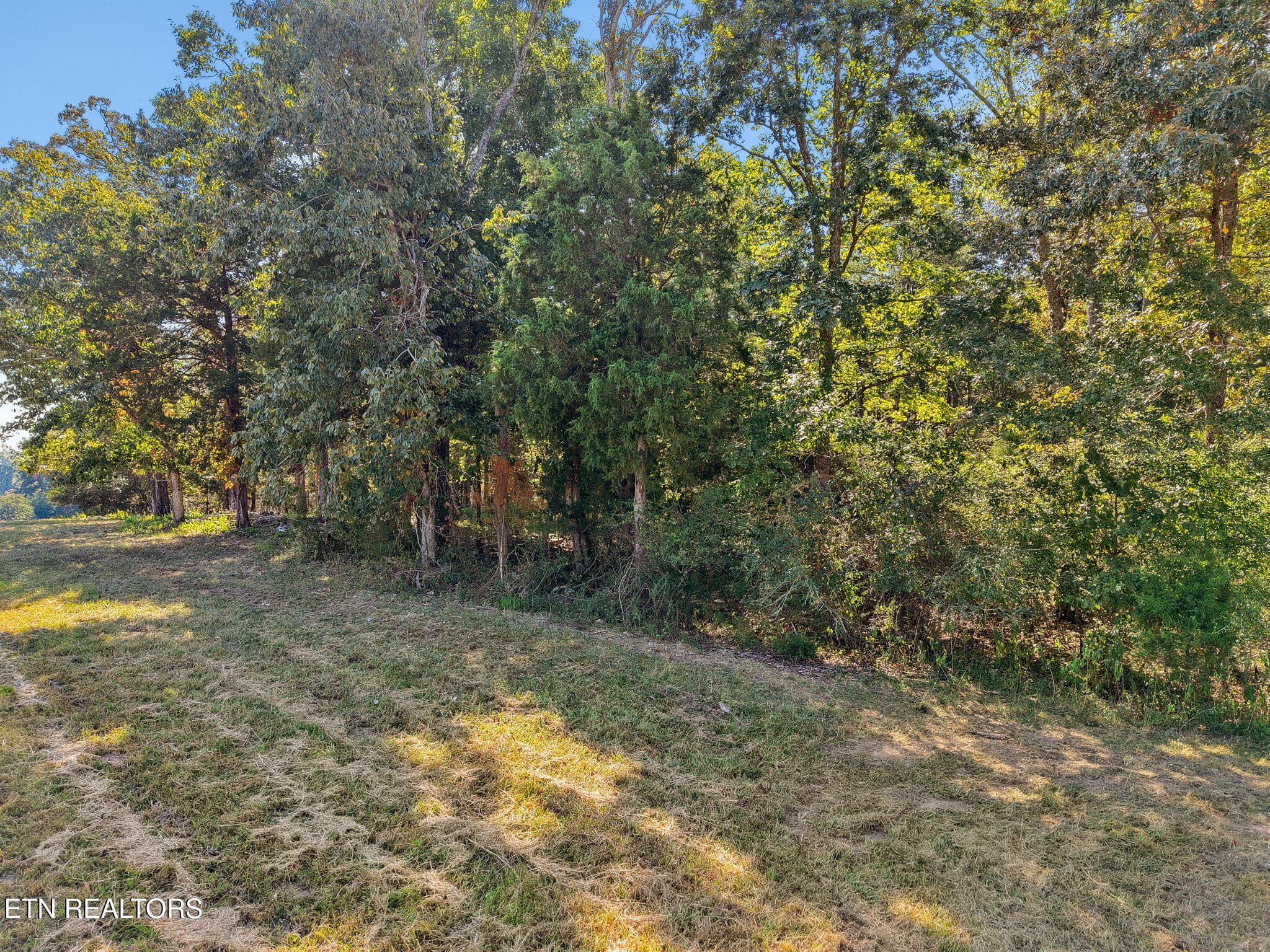 11-web-or-mls-011_110EShore - 110 E Shore Drive, Rockwood, TN 37854, Rockwood