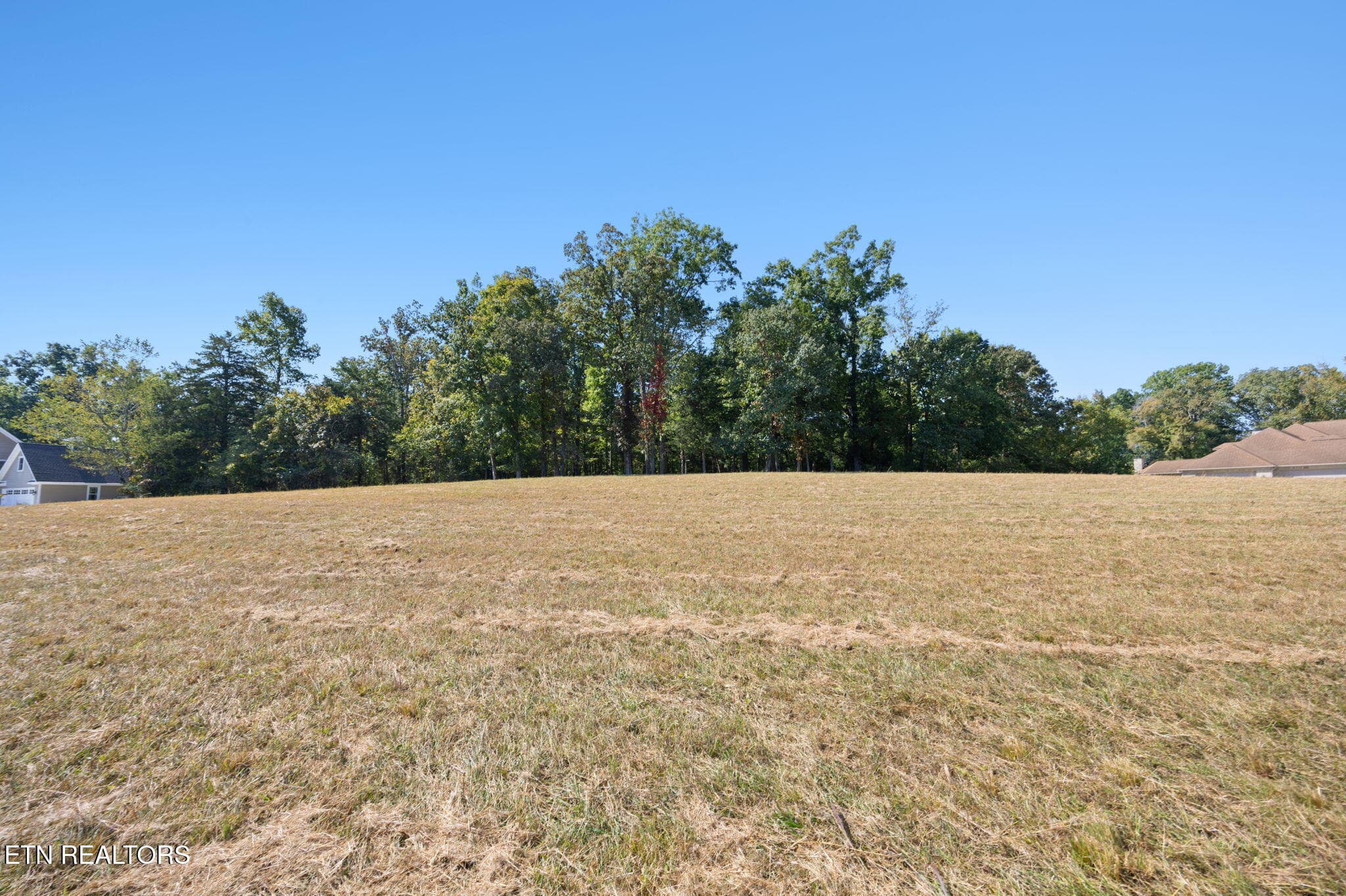 12-web-or-mls-012_110EShore - 110 E Shore Drive, Rockwood, TN 37854, Rockwood