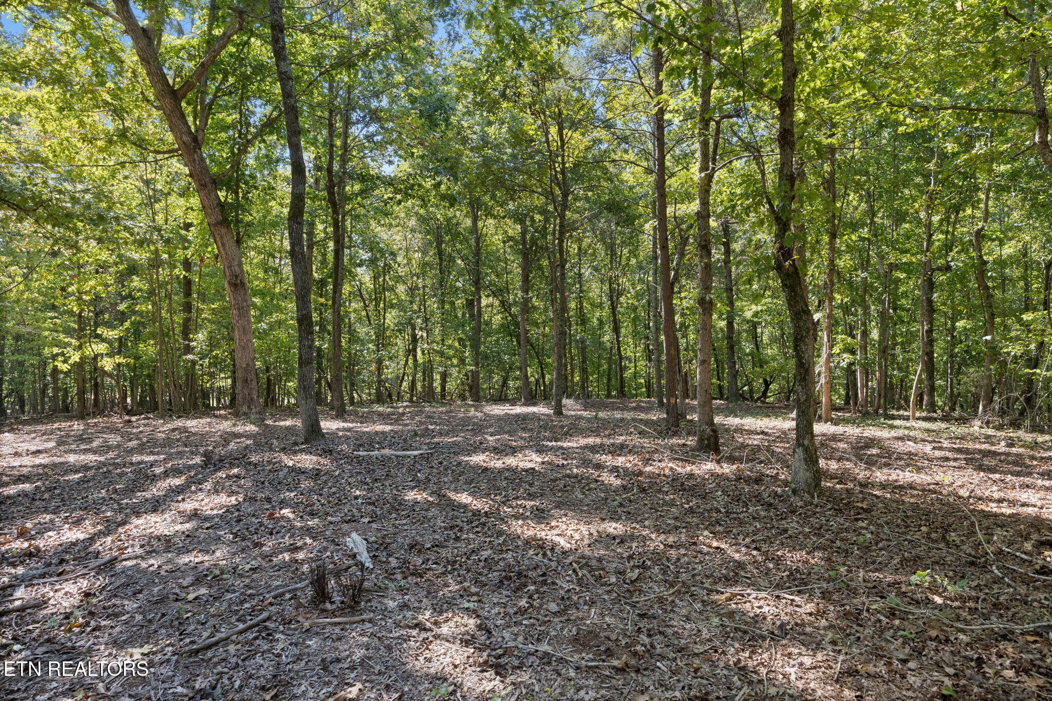 14-web-or-mls-014_110EShore - 110 E Shore Drive, Rockwood, TN 37854, Rockwood