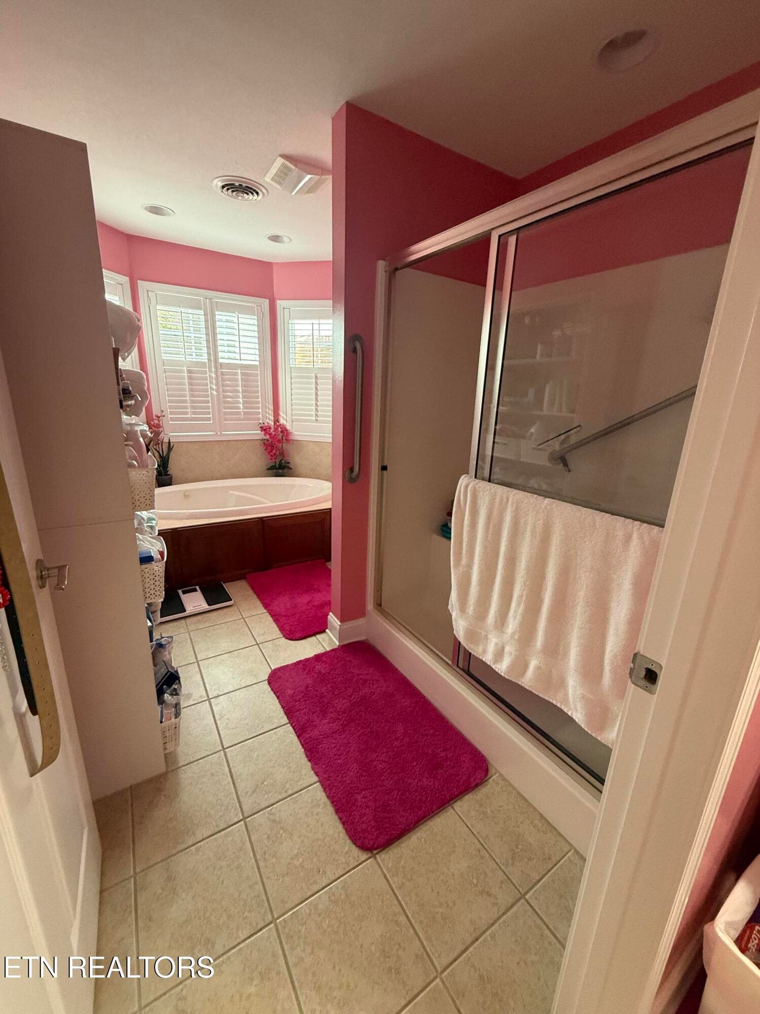 Master bath - 1438 Cottage Glen Lane, Maryville, TN 37801, Maryville