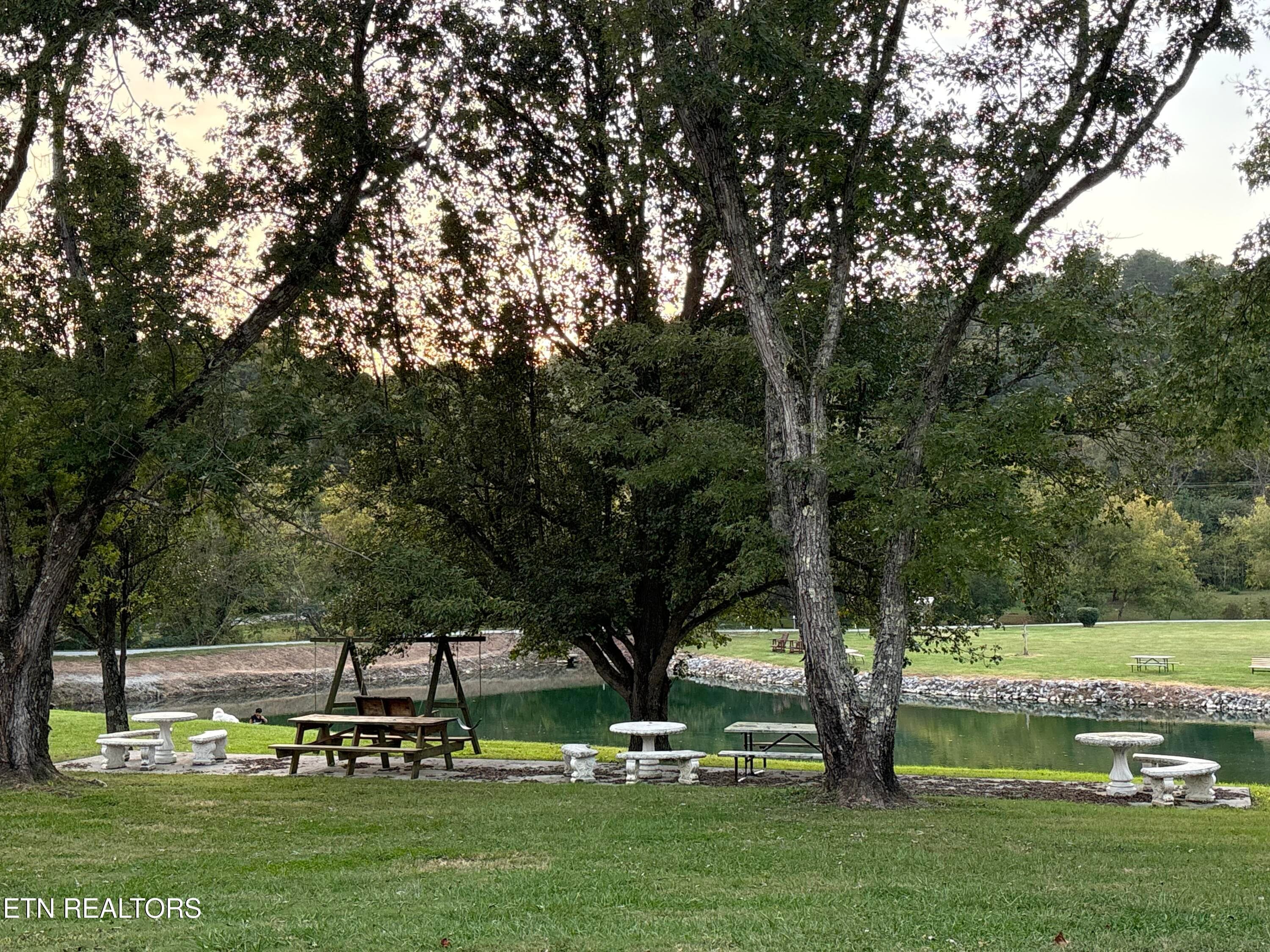 Picnic Area - 760 Big Valley Blvd, Townsend, TN 37882, Townsend
